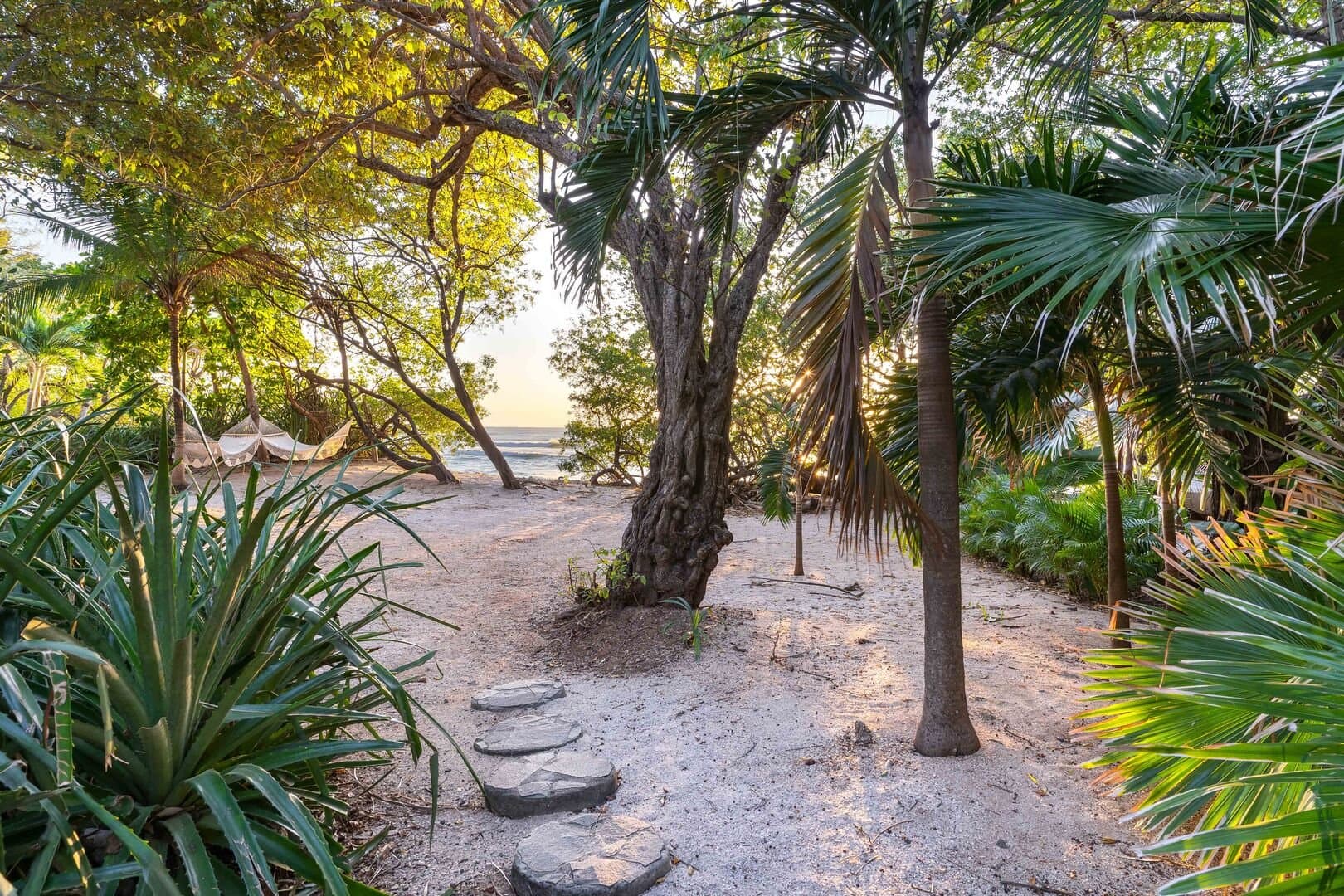 Casa De Luz - Image 8