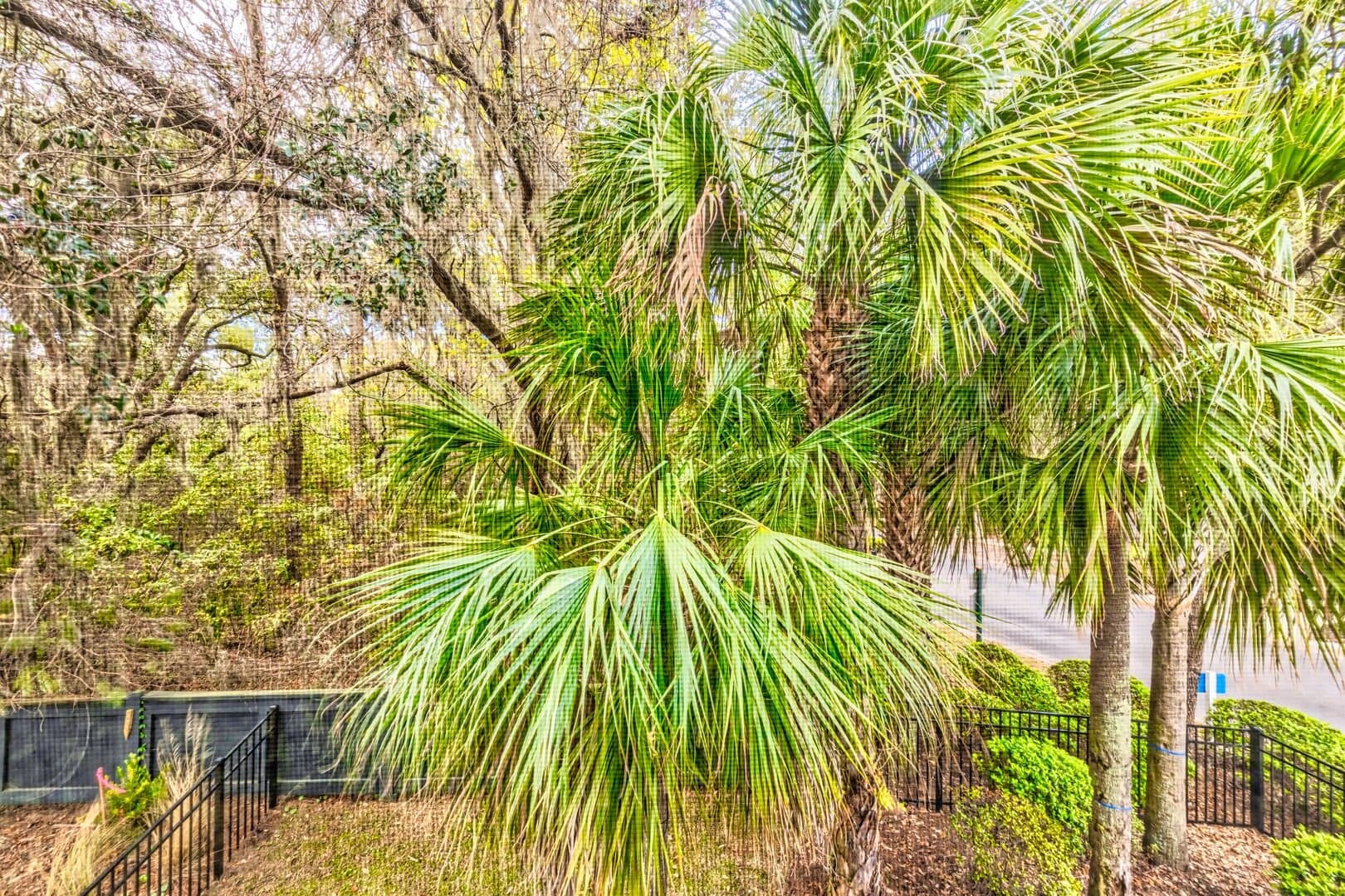 Turtle Tides - Image 62