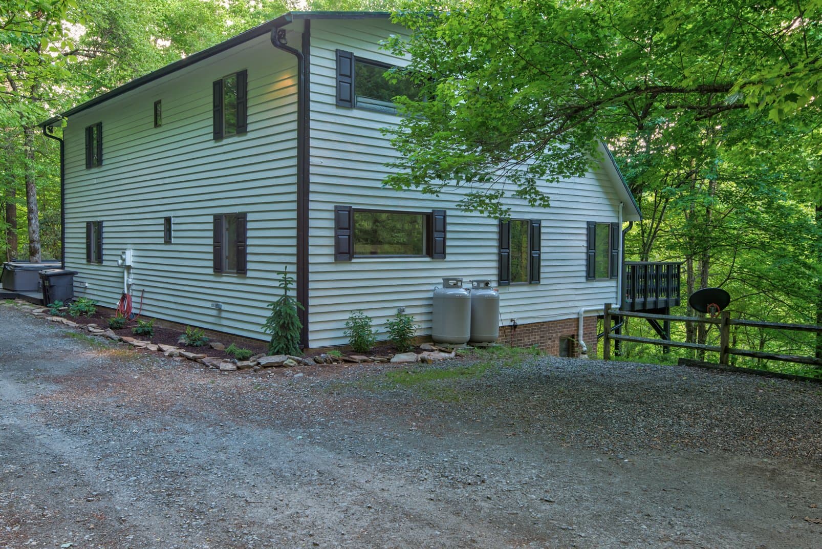 Paws a While - Image 55