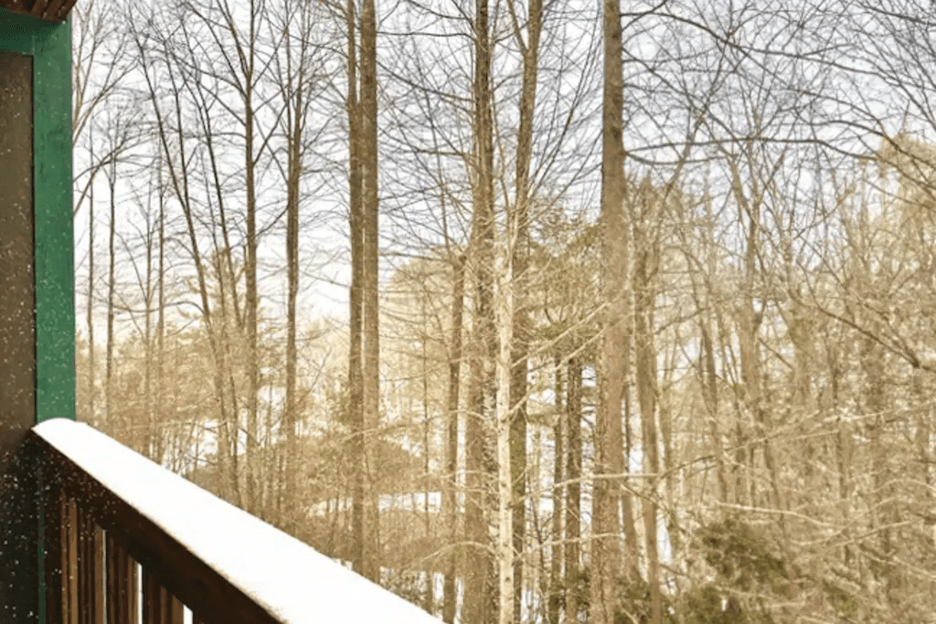 Still Lake Getaway - Image 34