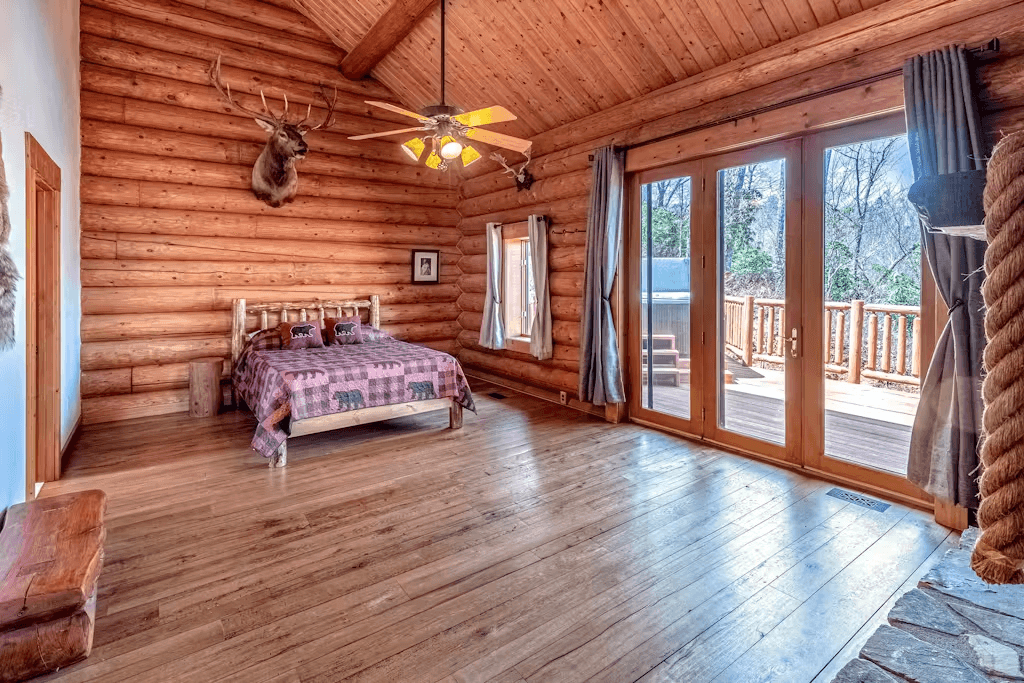 Two Bears - Image 19