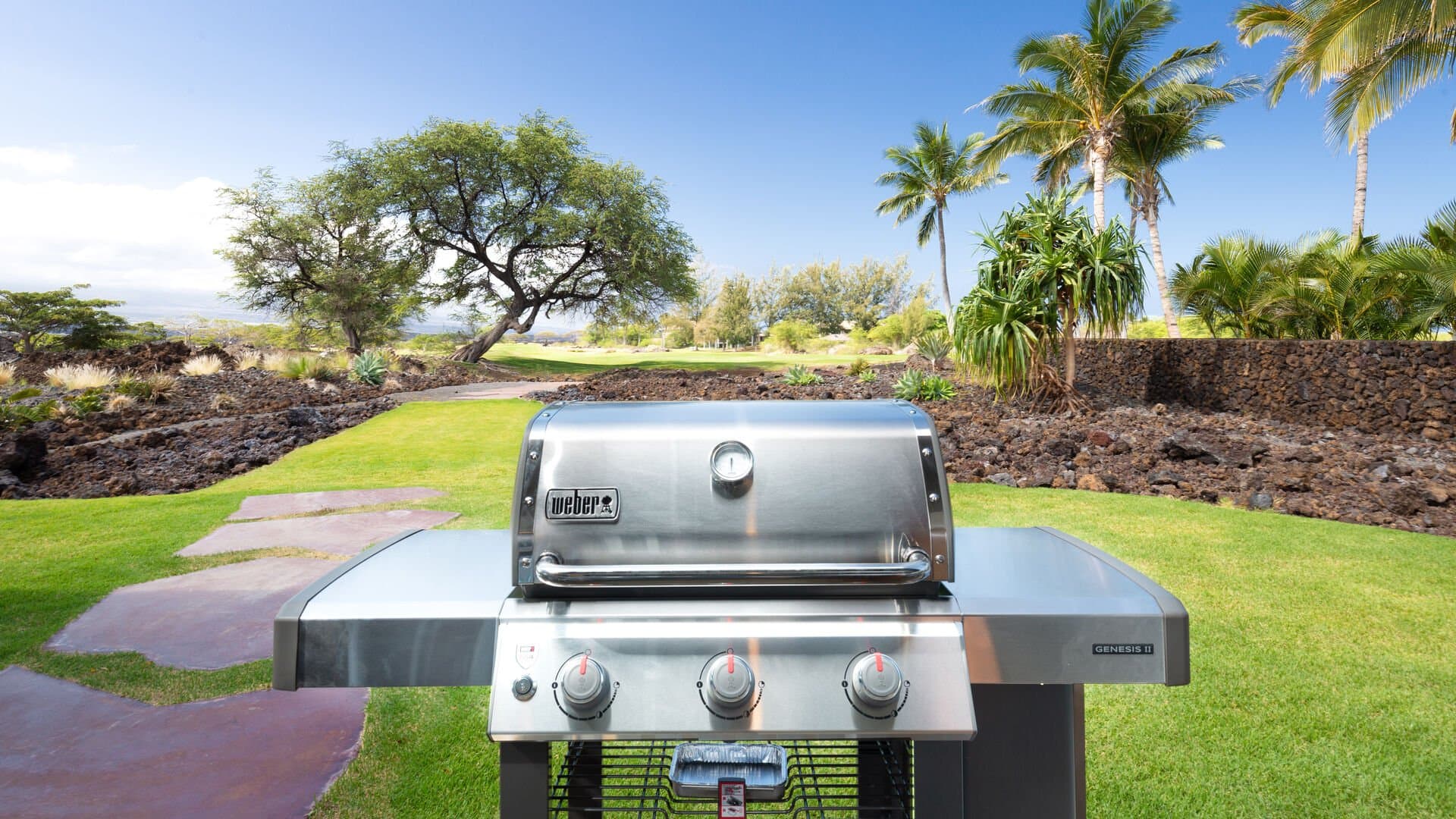 Family Tides - Image 44