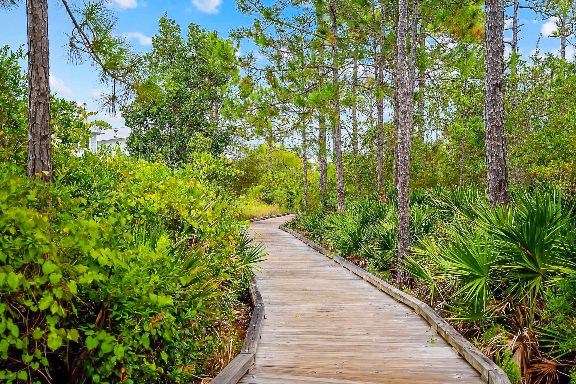 Nature Walk Beargrass House - Image 44
