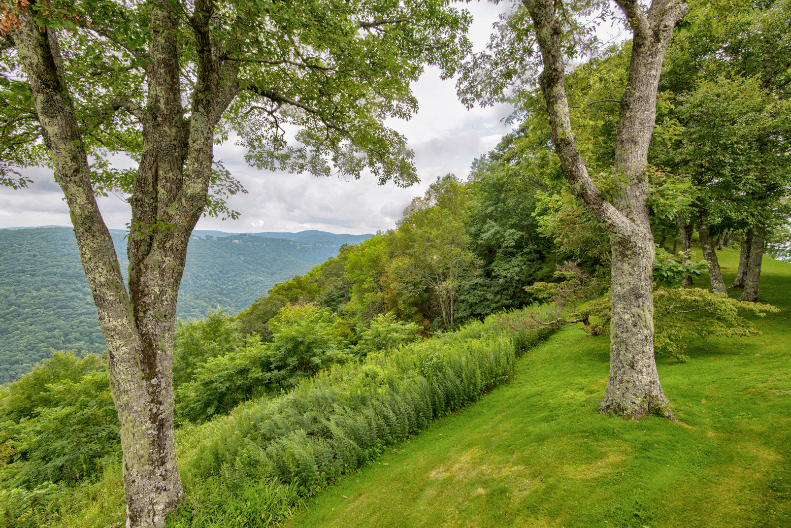 Celestial View - Image 37