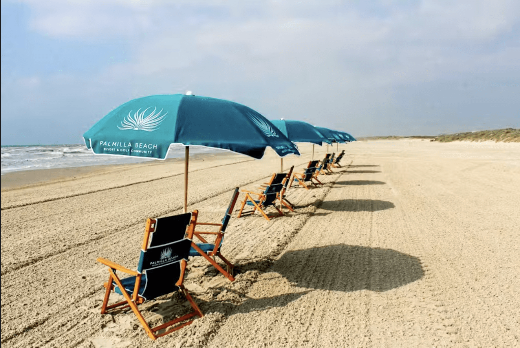 Coastal Happy Ours - Image 50