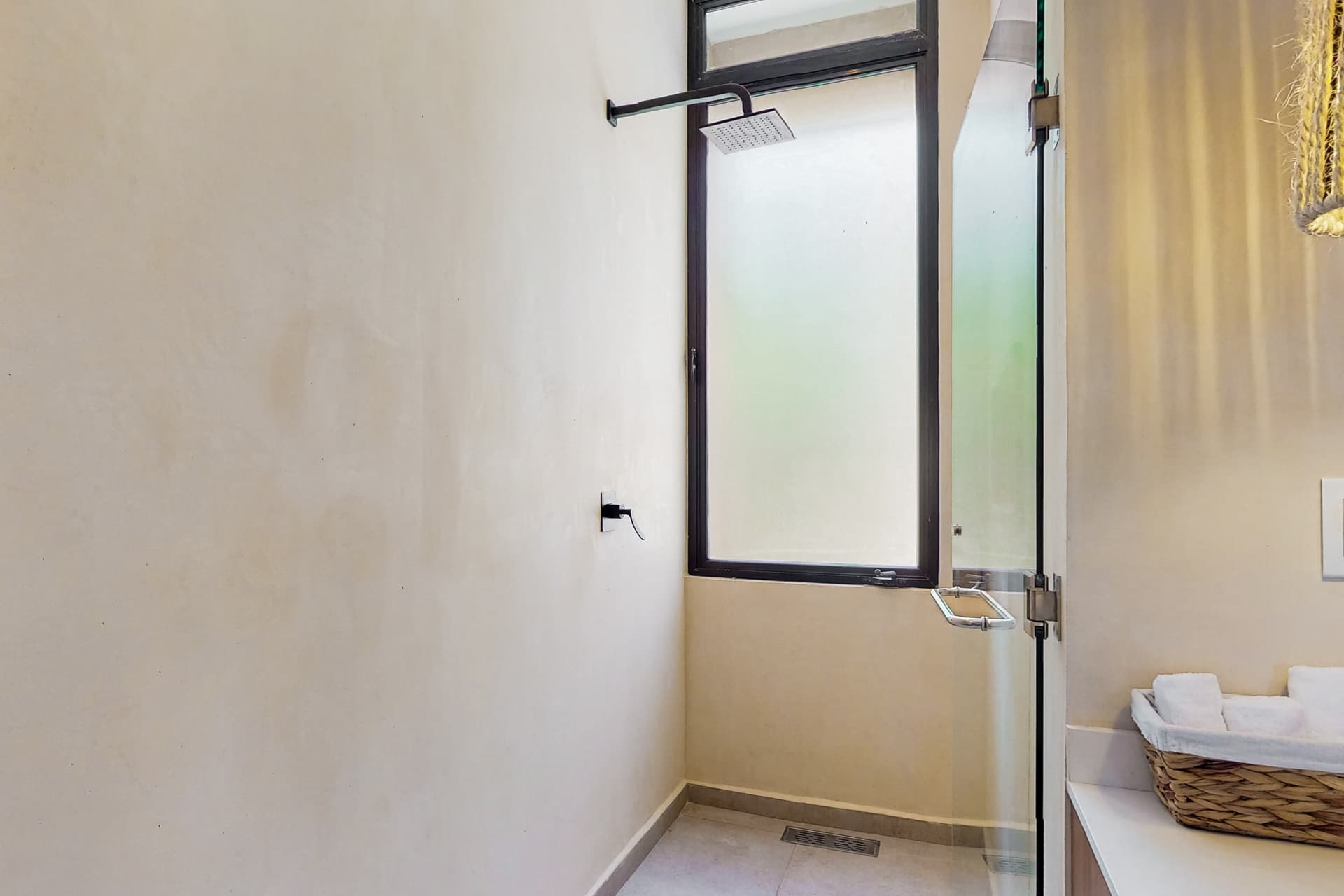 Fronds and Sun - Image 11