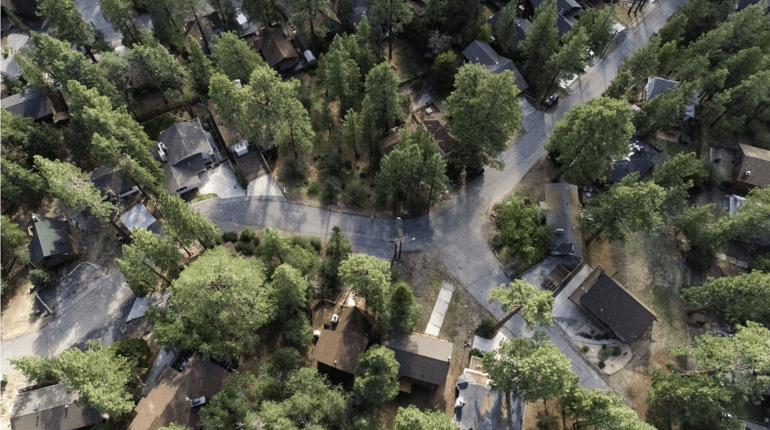 Bear's Lair - Image 27