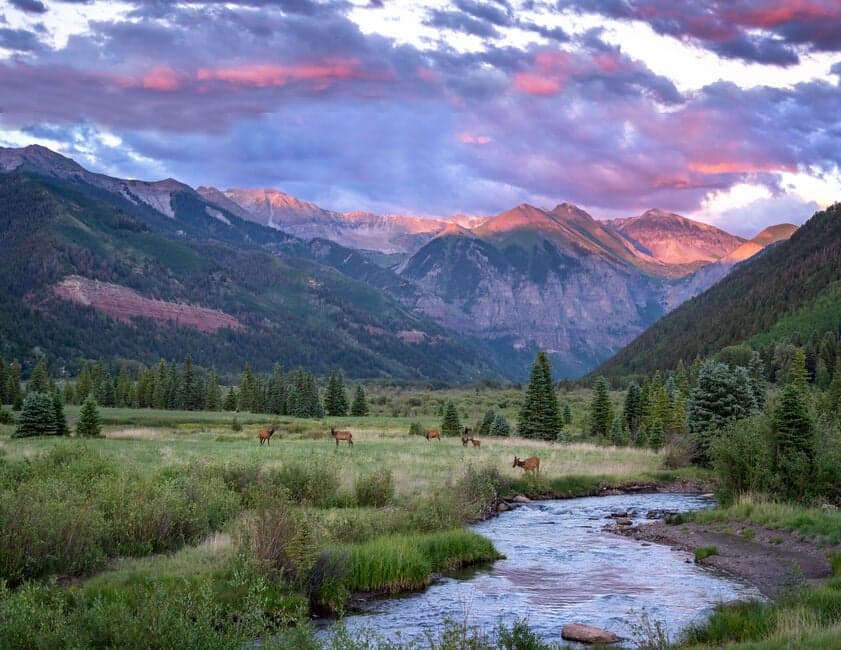 Copper Hollow - Image 57