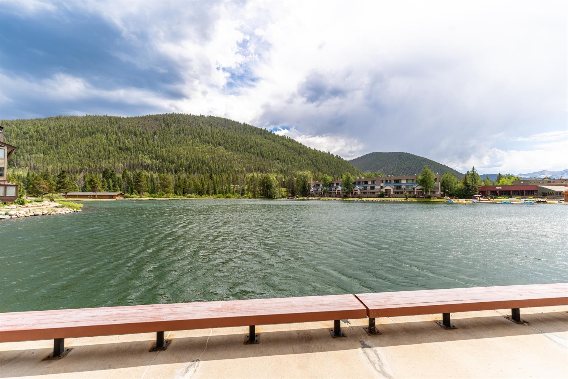 Gentle Grove - Image 6