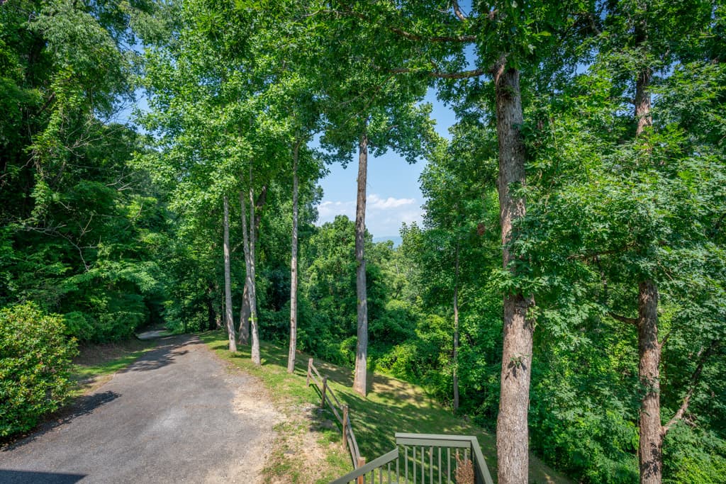 Falcon Ridge - Image 42