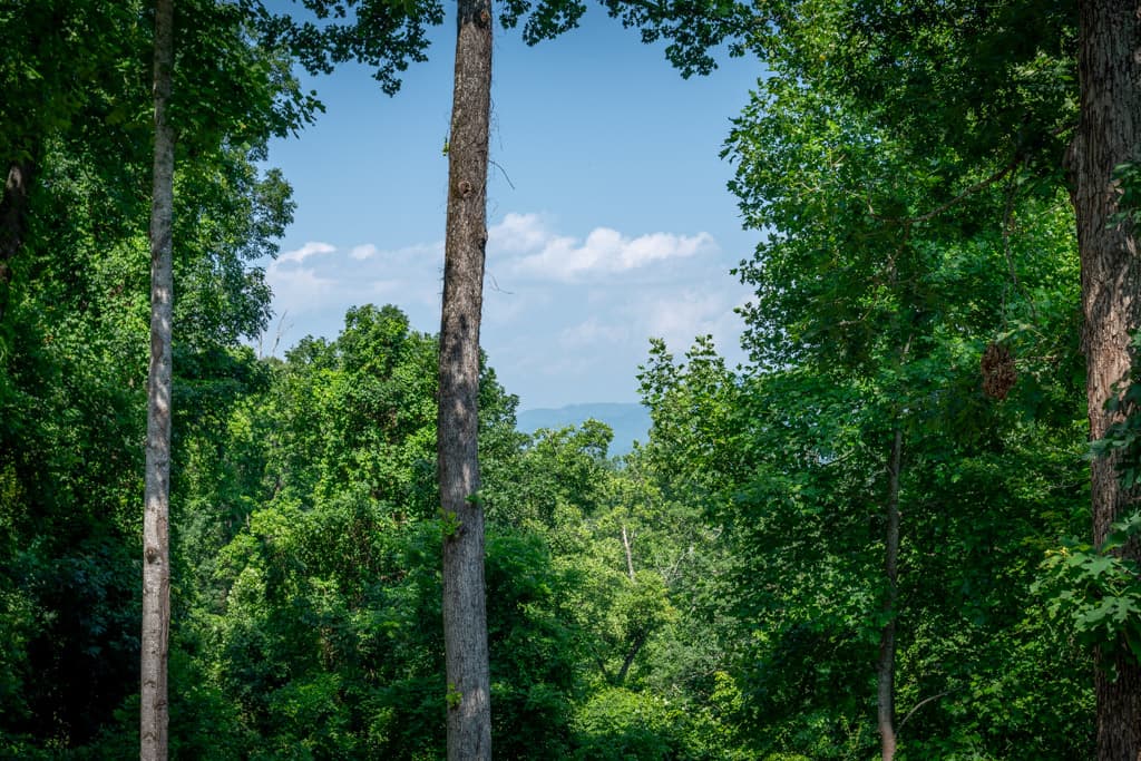 Falcon Ridge - Image 44