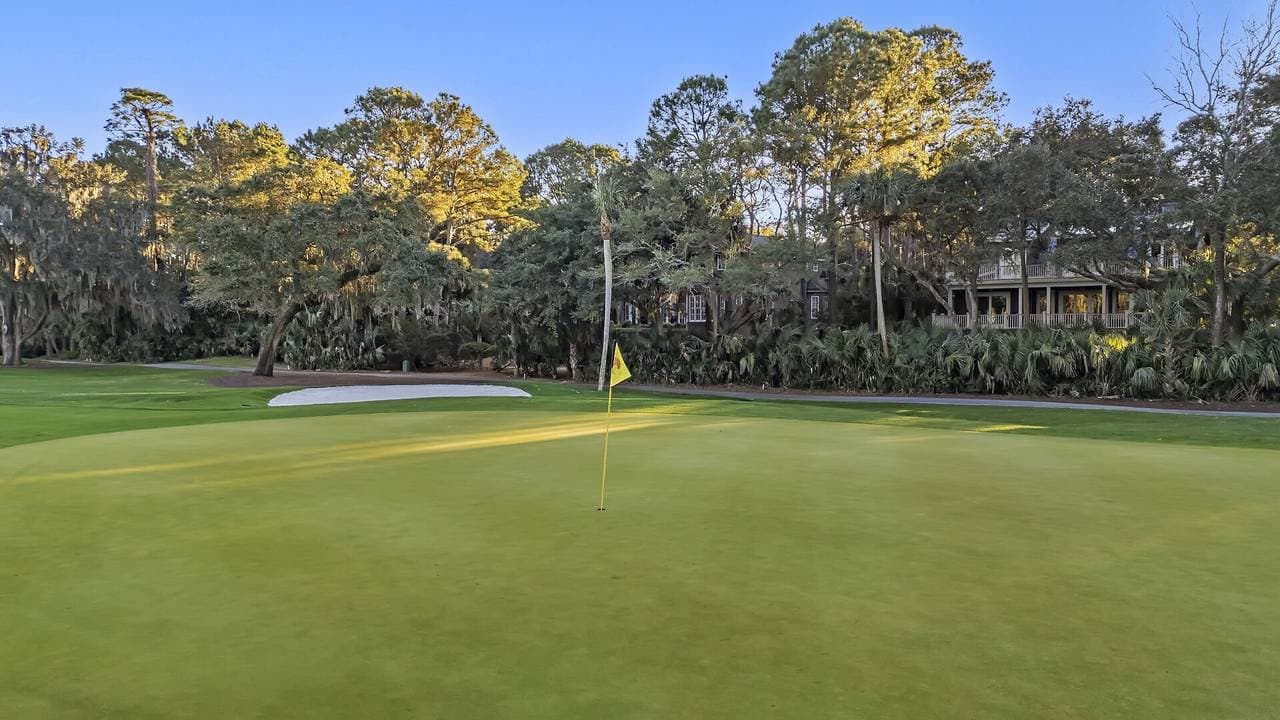 Yellow Throat Lane - Image 55