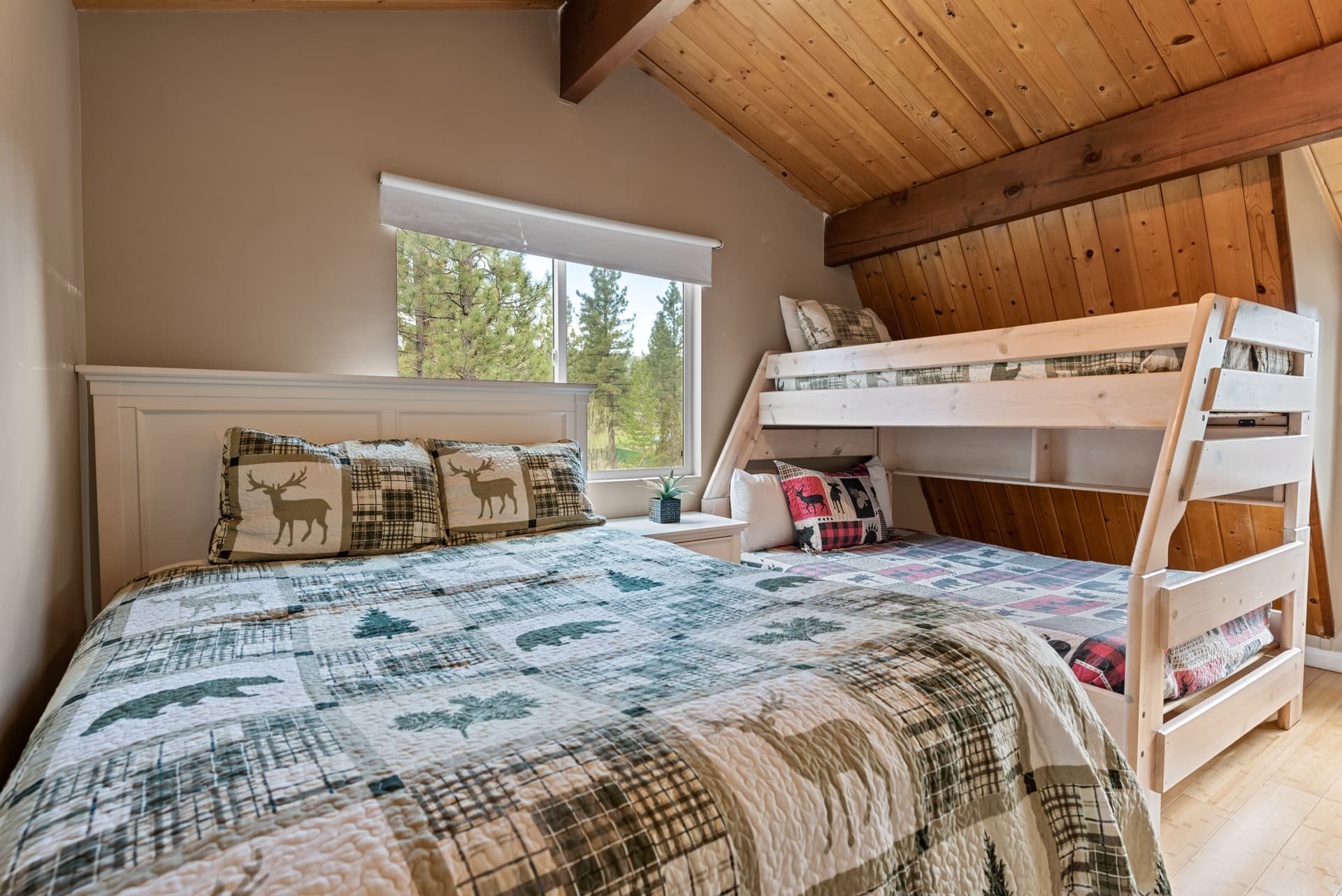 Five Pines - Image 10