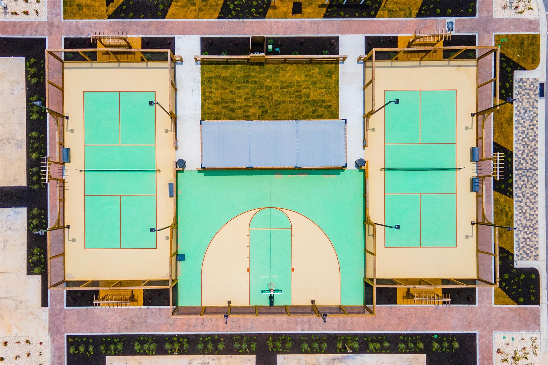 Coral Kingdom - Image 71