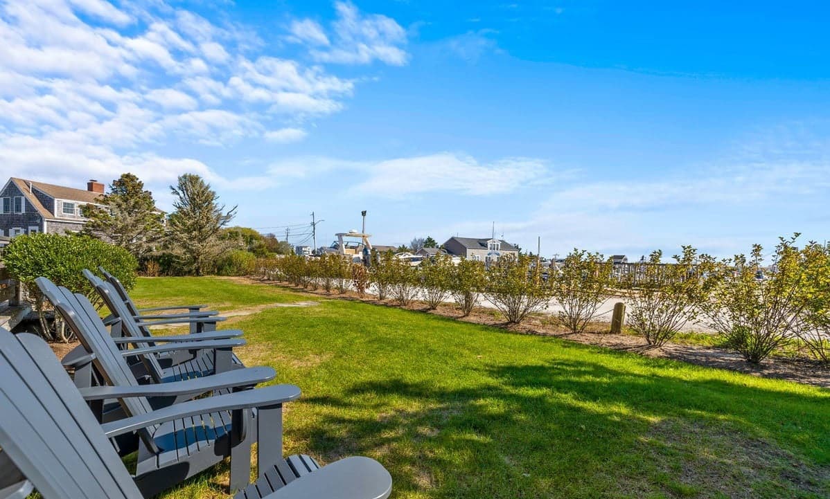 Whale Song - Image 20