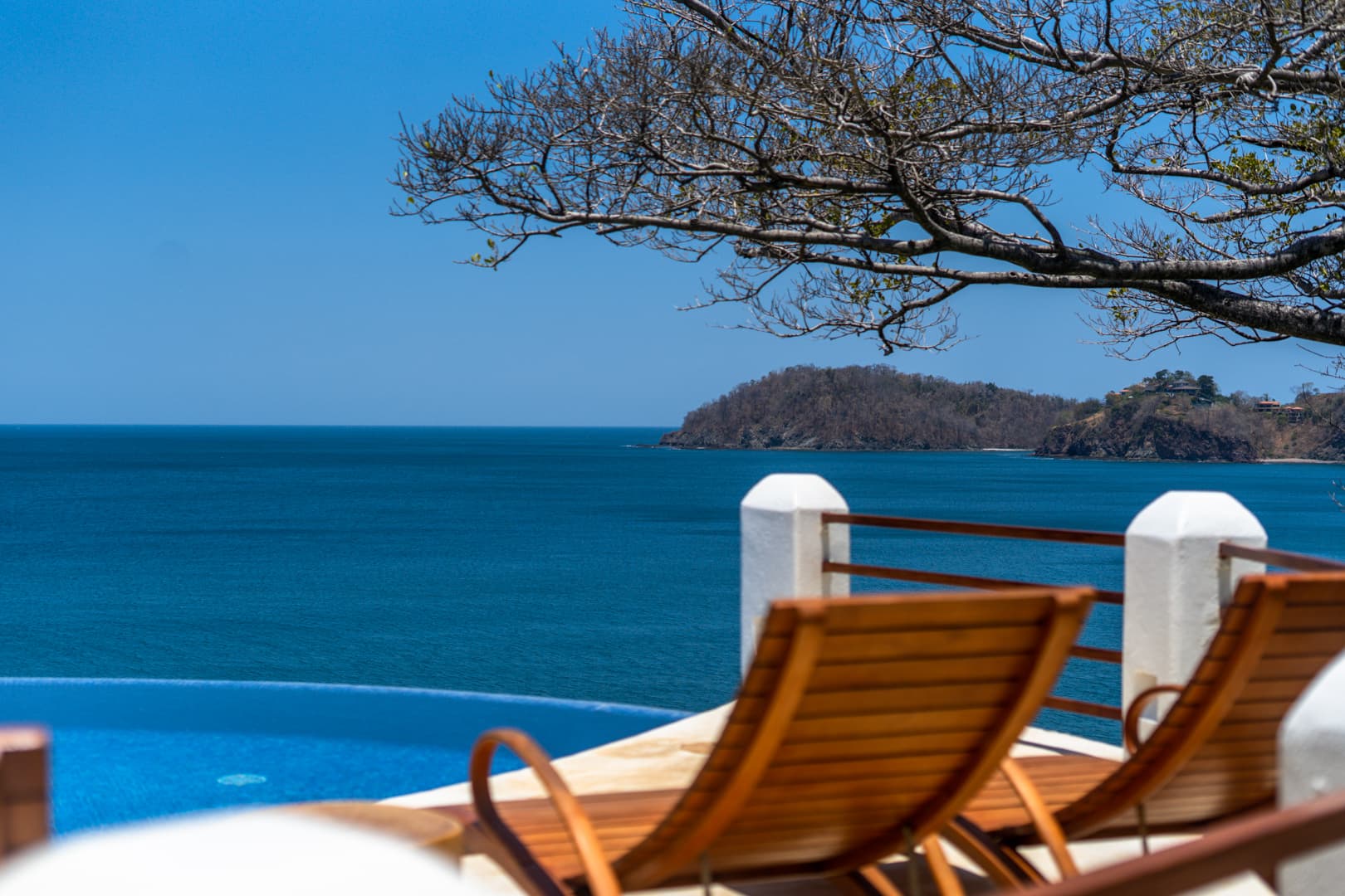 Flamingo Blu - Image 5