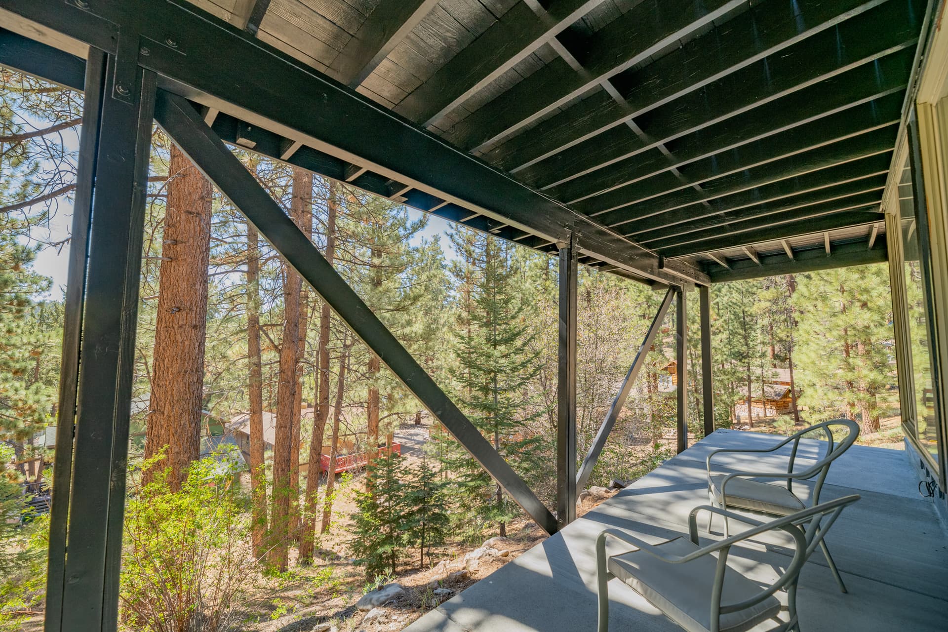 Forest Escape - Image 3