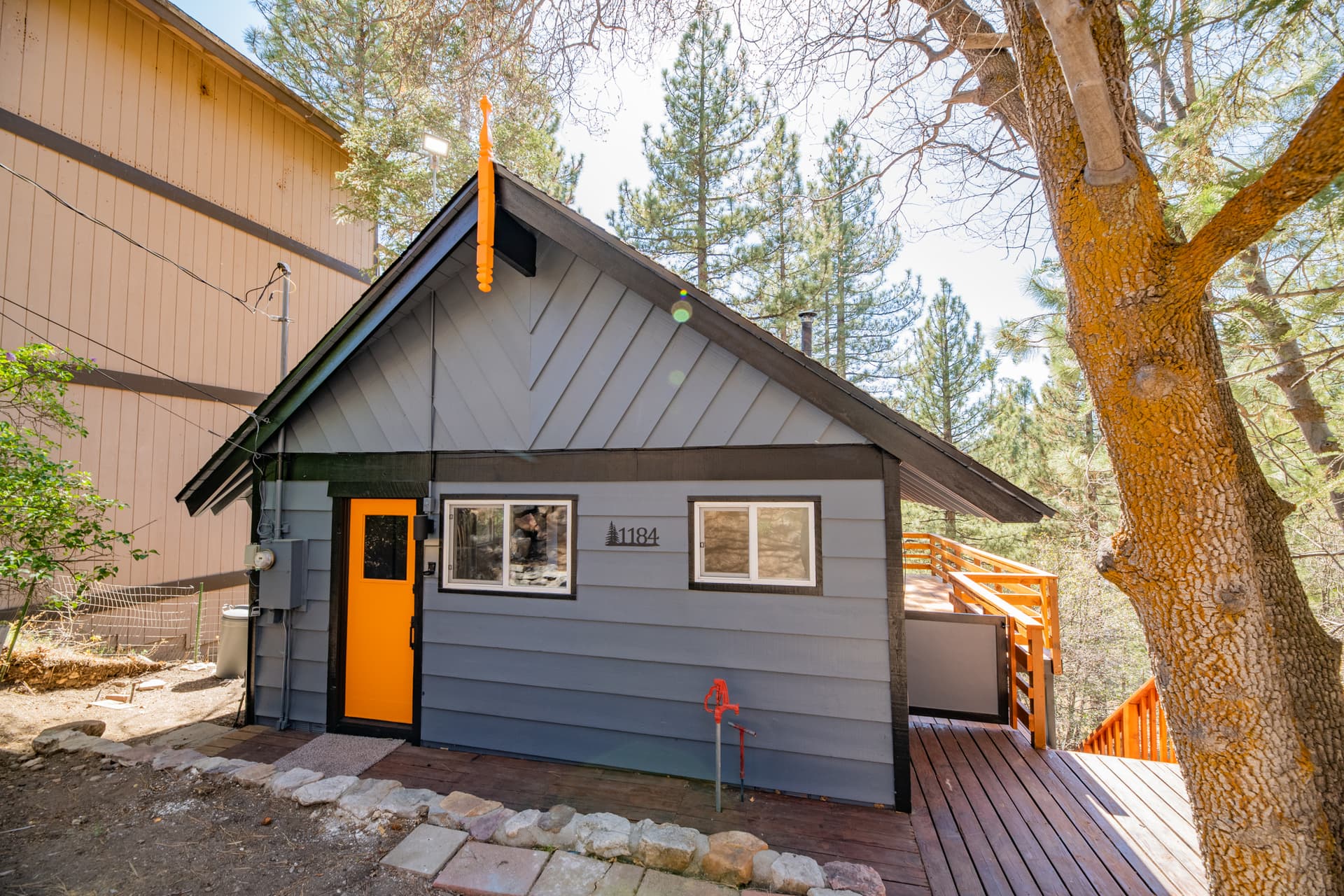 Forest Escape - Image 15