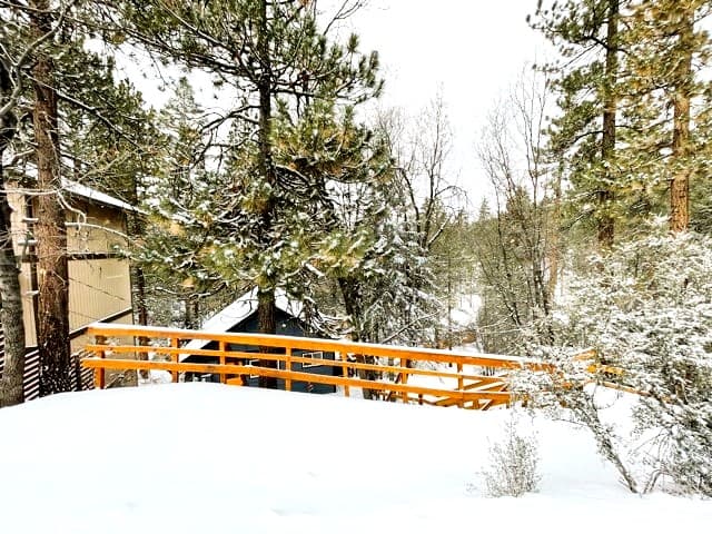 Forest Escape - Image 18