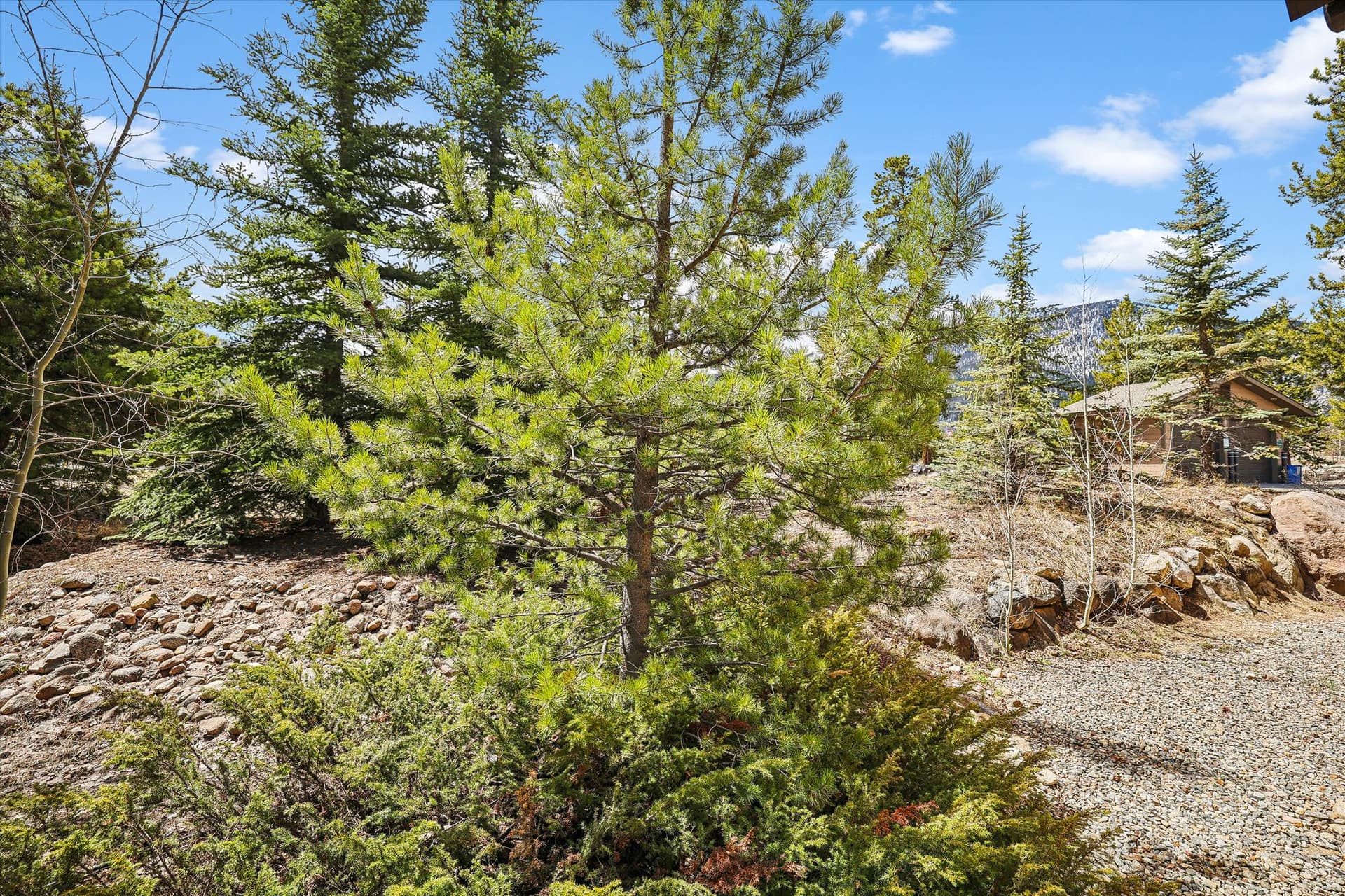 Frisco Fling - Image 50