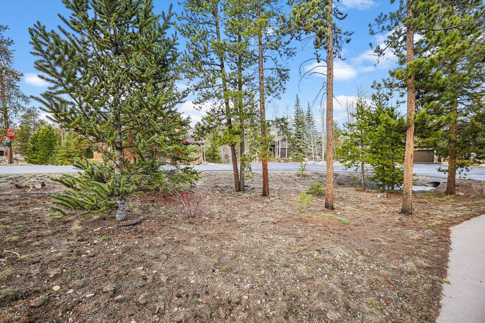 Frisco Fling - Image 52