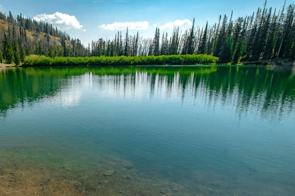 Wildflower Luxury - Image 42