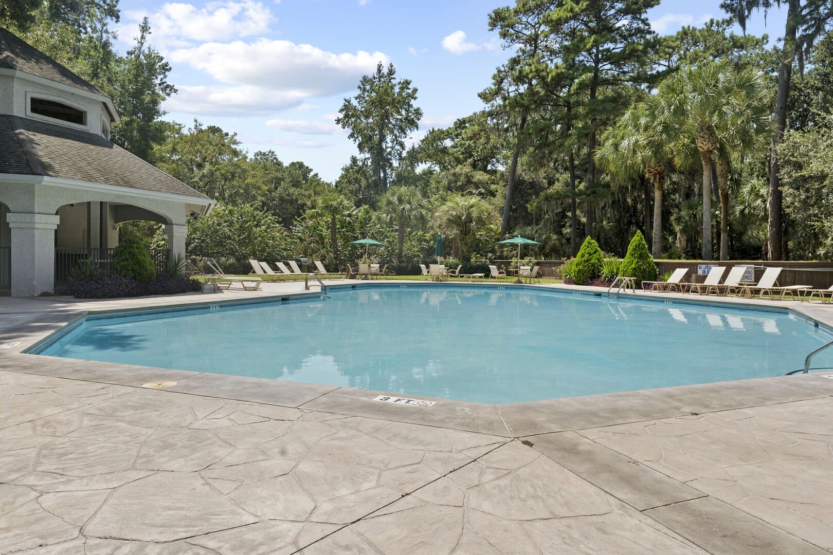 Sweet Carolina - Image 35