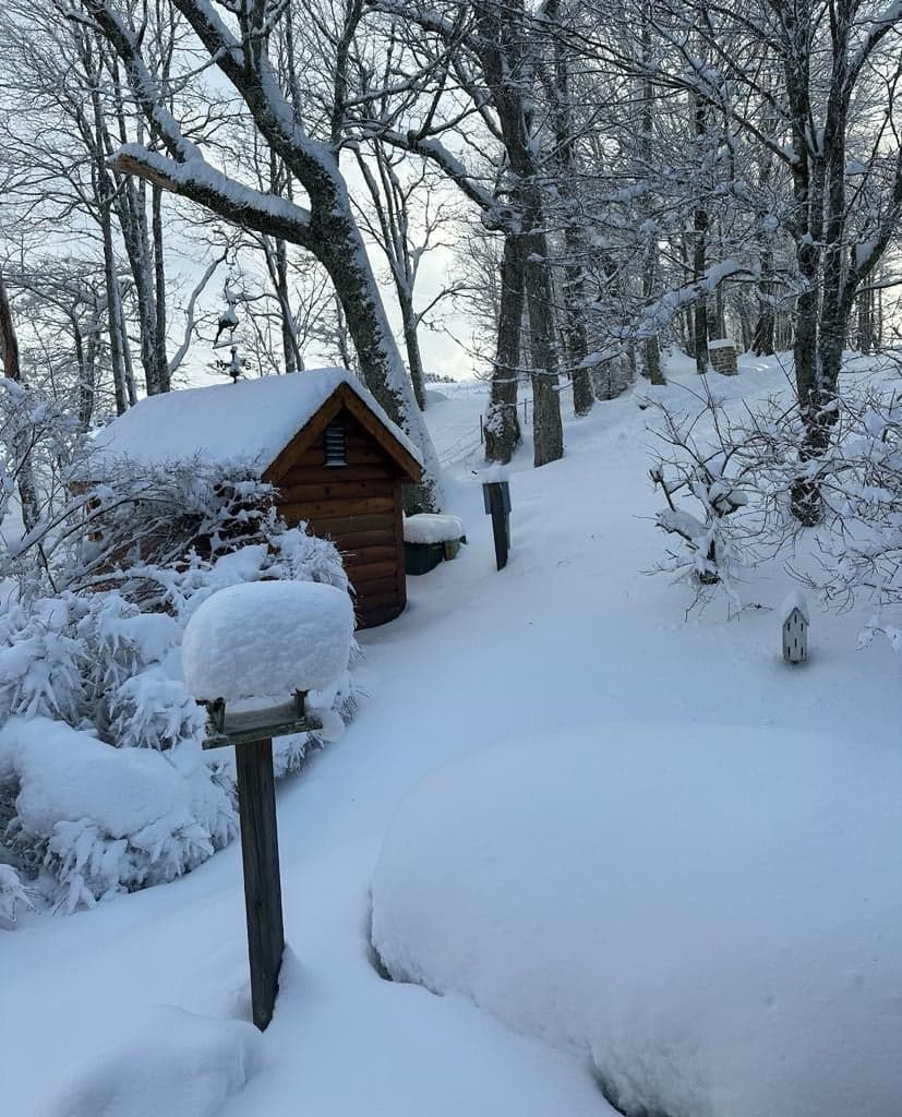 Sugar View Retreat - Image 54