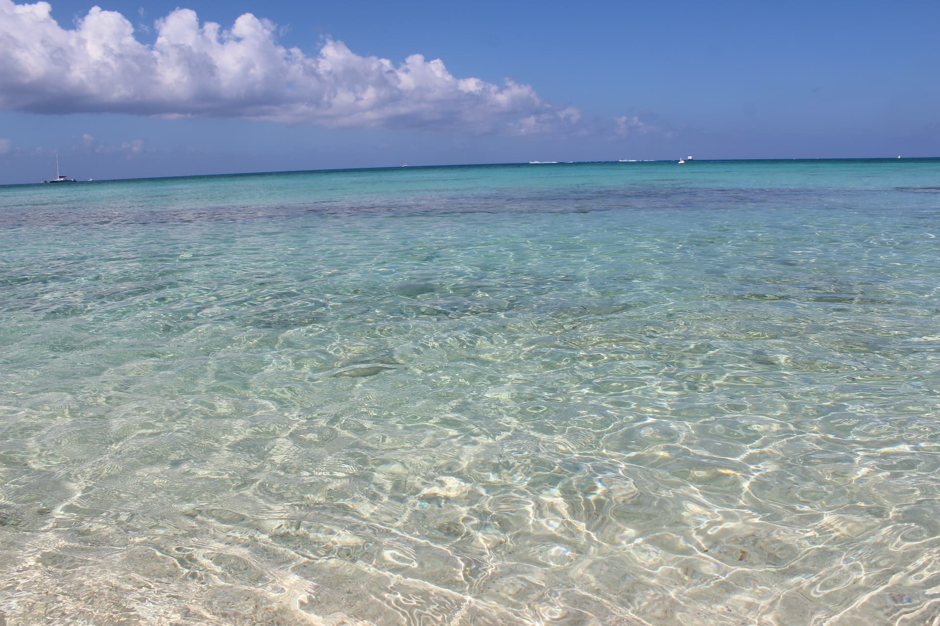 Ritz-Carlton Residence #401 - Image 15