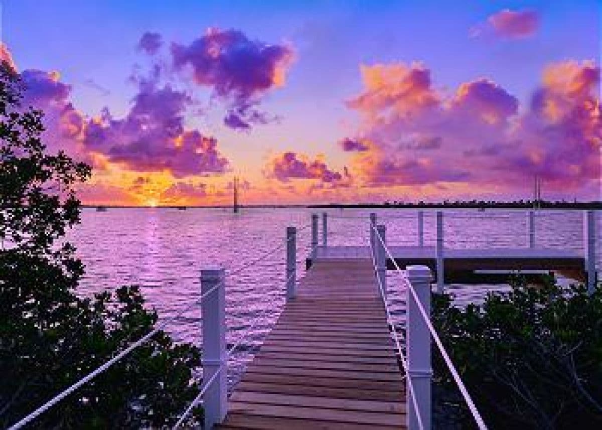 Southern Comfort - Image 33