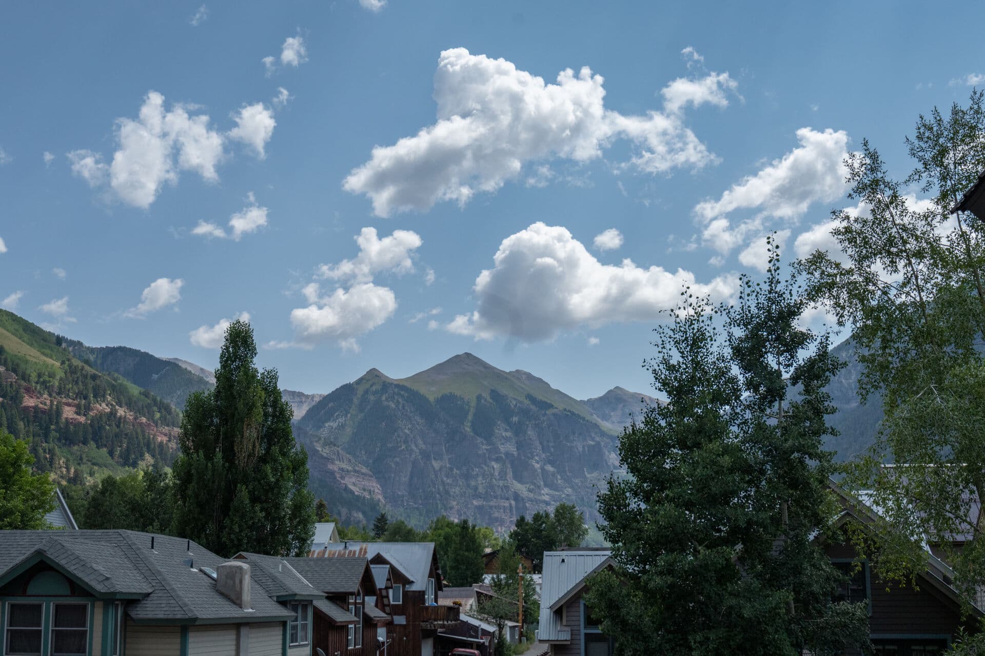 Cornet Creek #201 - Image 14