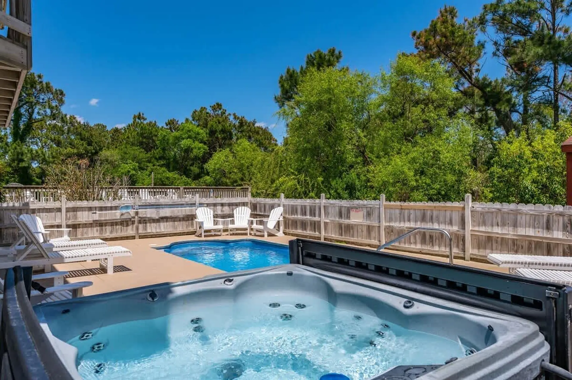 Yellow Lotus - Image 40