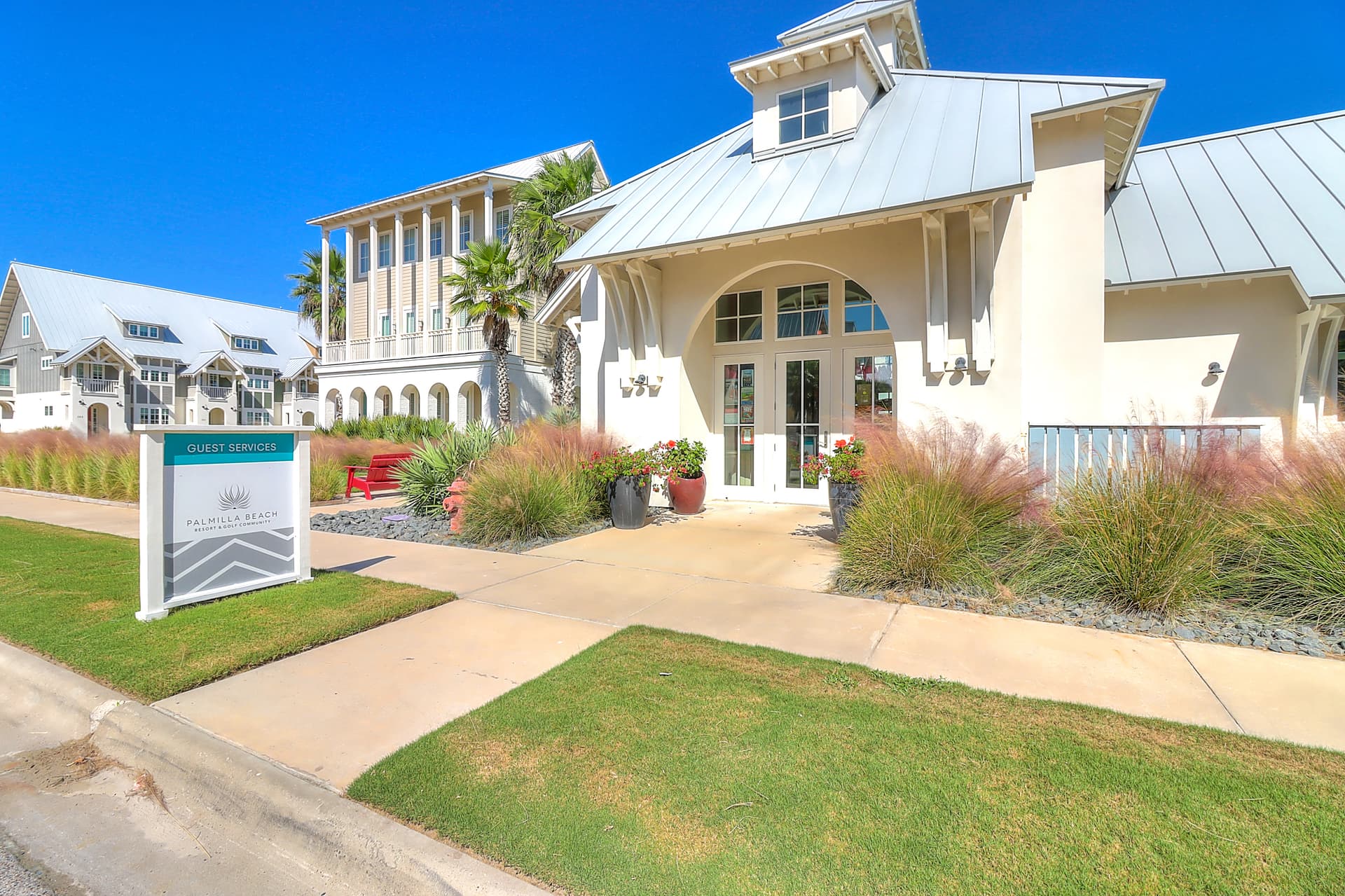 Sun-drenched on Sundew - Image 30