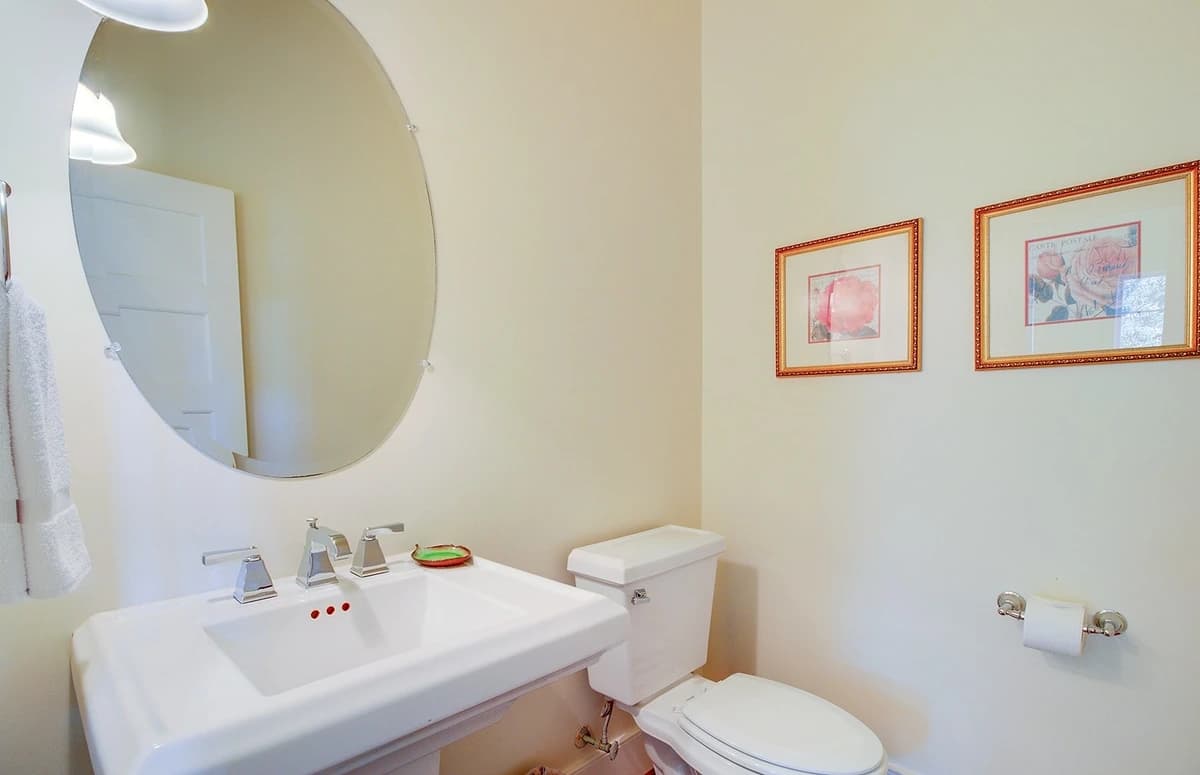 Carolina Anchor - Image 22