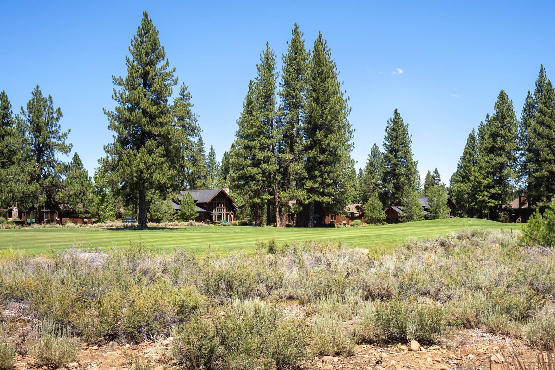 Sutter's Trail 11272 - Image 50