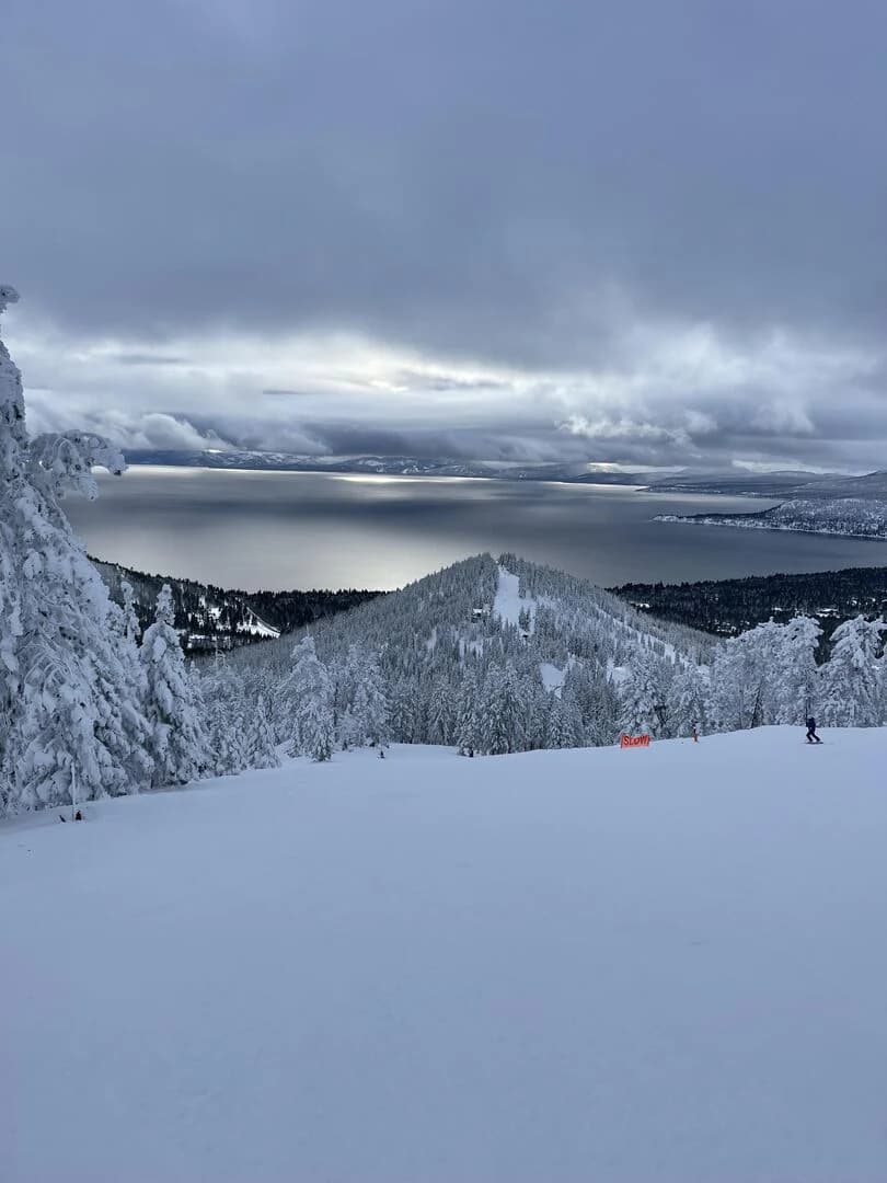 Mayhew House - Image 22