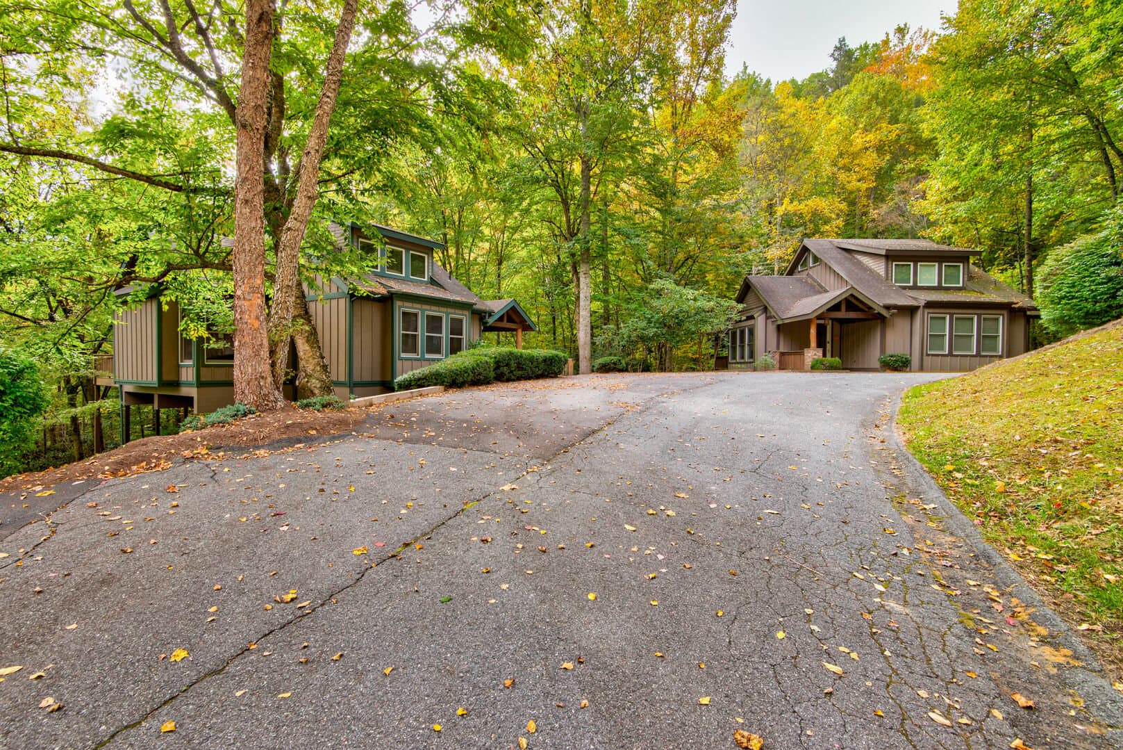 Tree House at Echota - Image 41