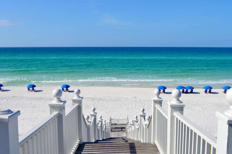 Sea Sabella - Image 41