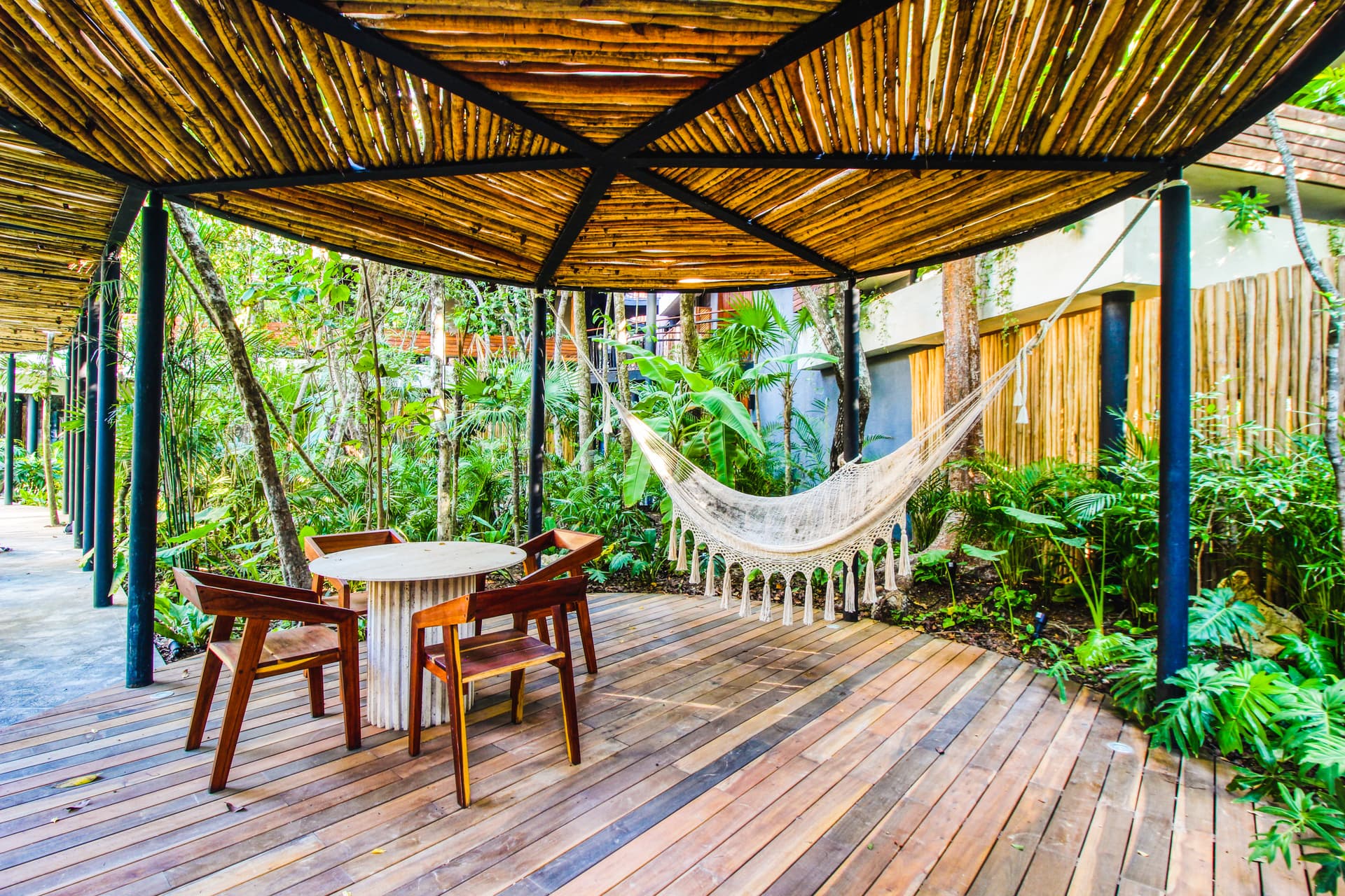 Dreamland  - Image 4