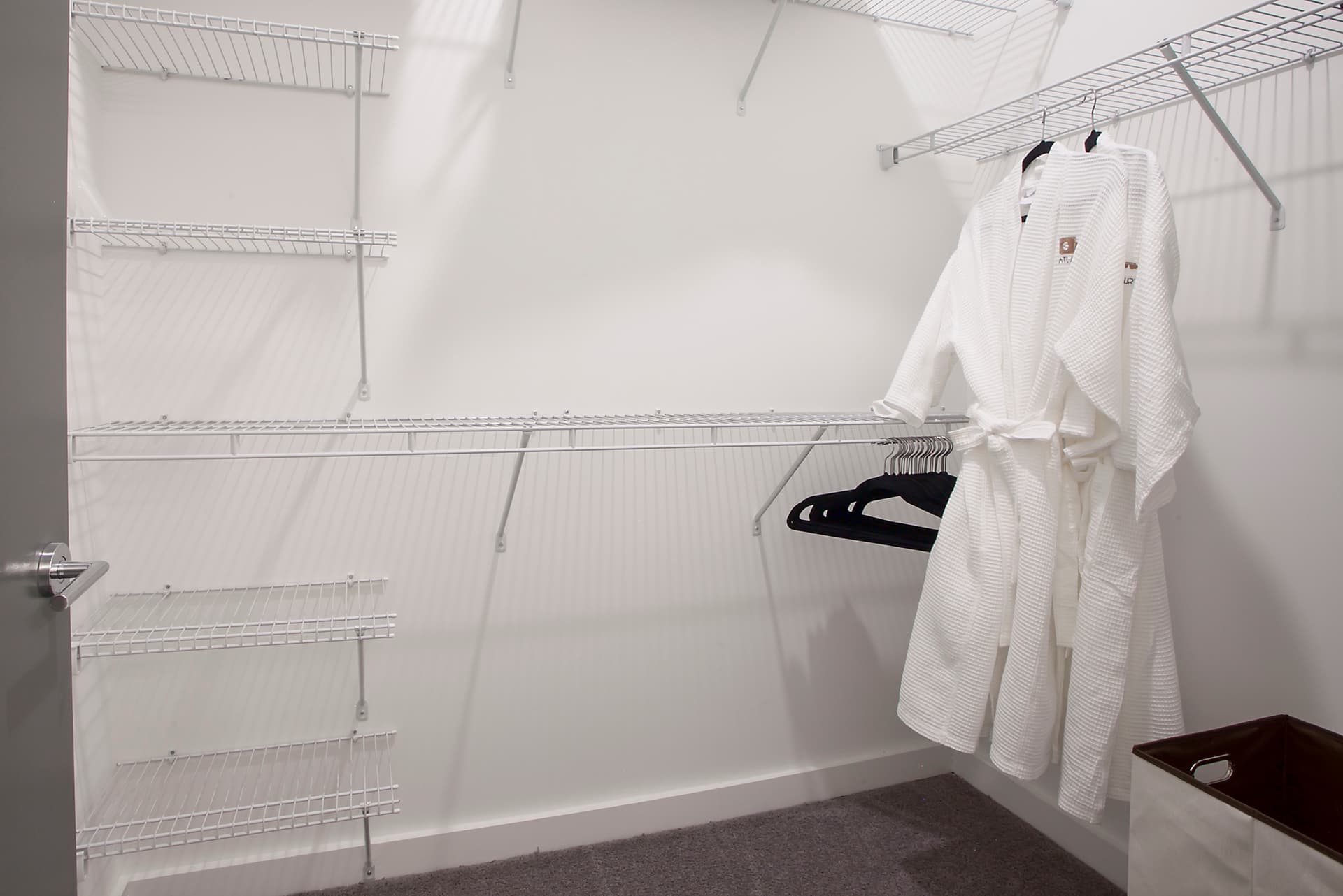 Golden Eye - Image 13