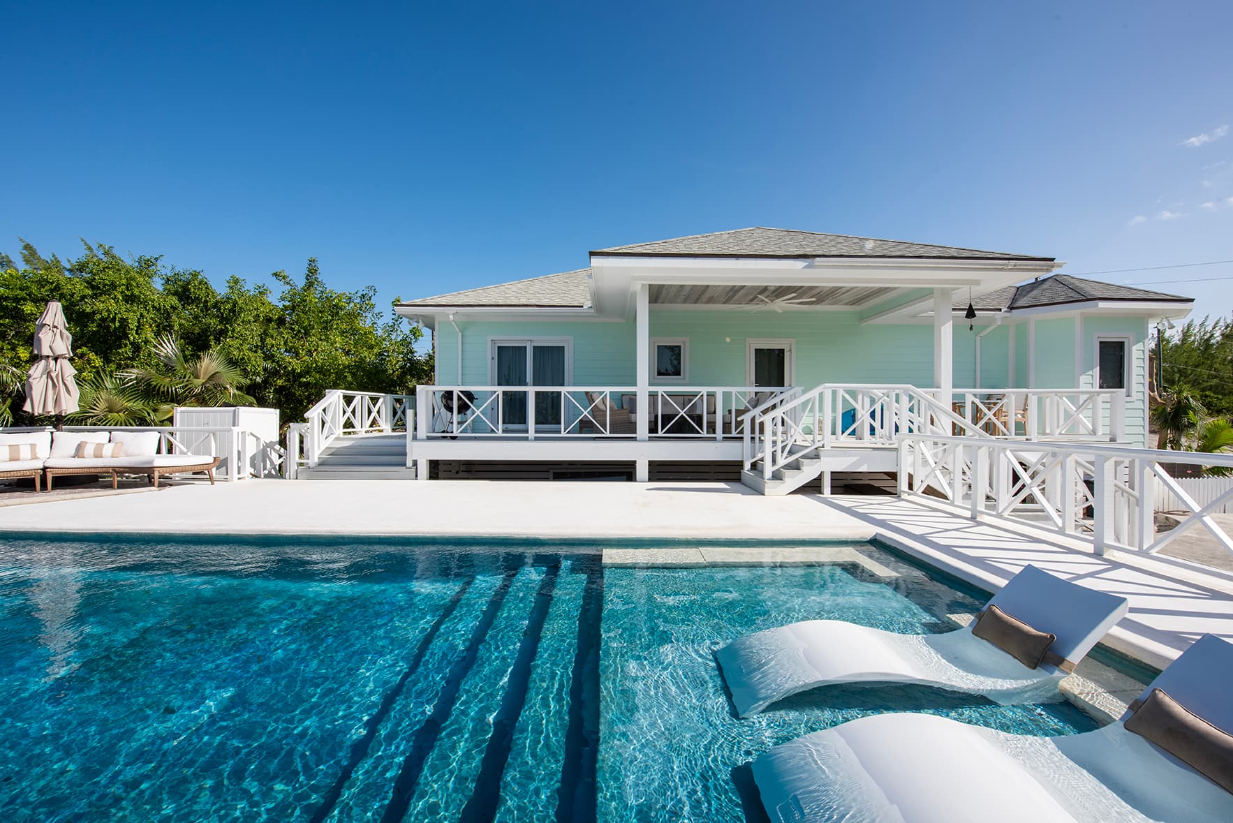 Gumbo Limbo - Image 1