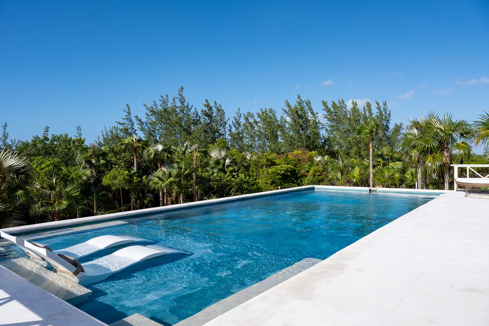 Gumbo Limbo - Image 26