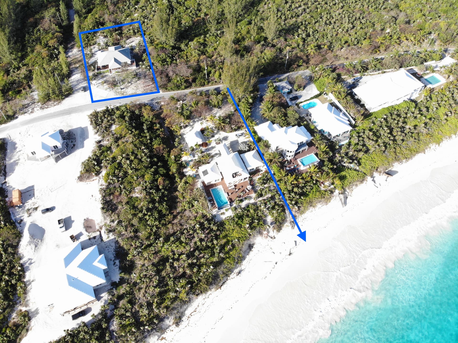 Gumbo Limbo - Image 3