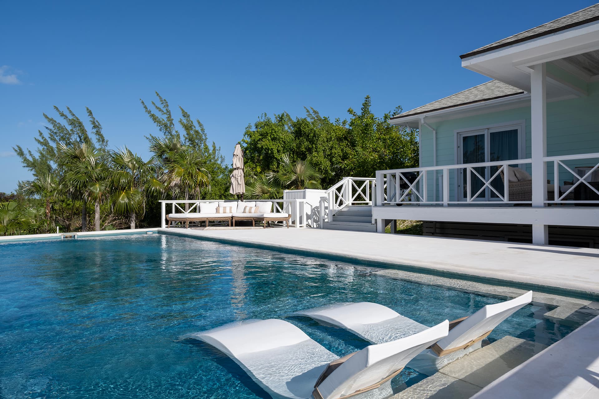 Gumbo Limbo - Image 24