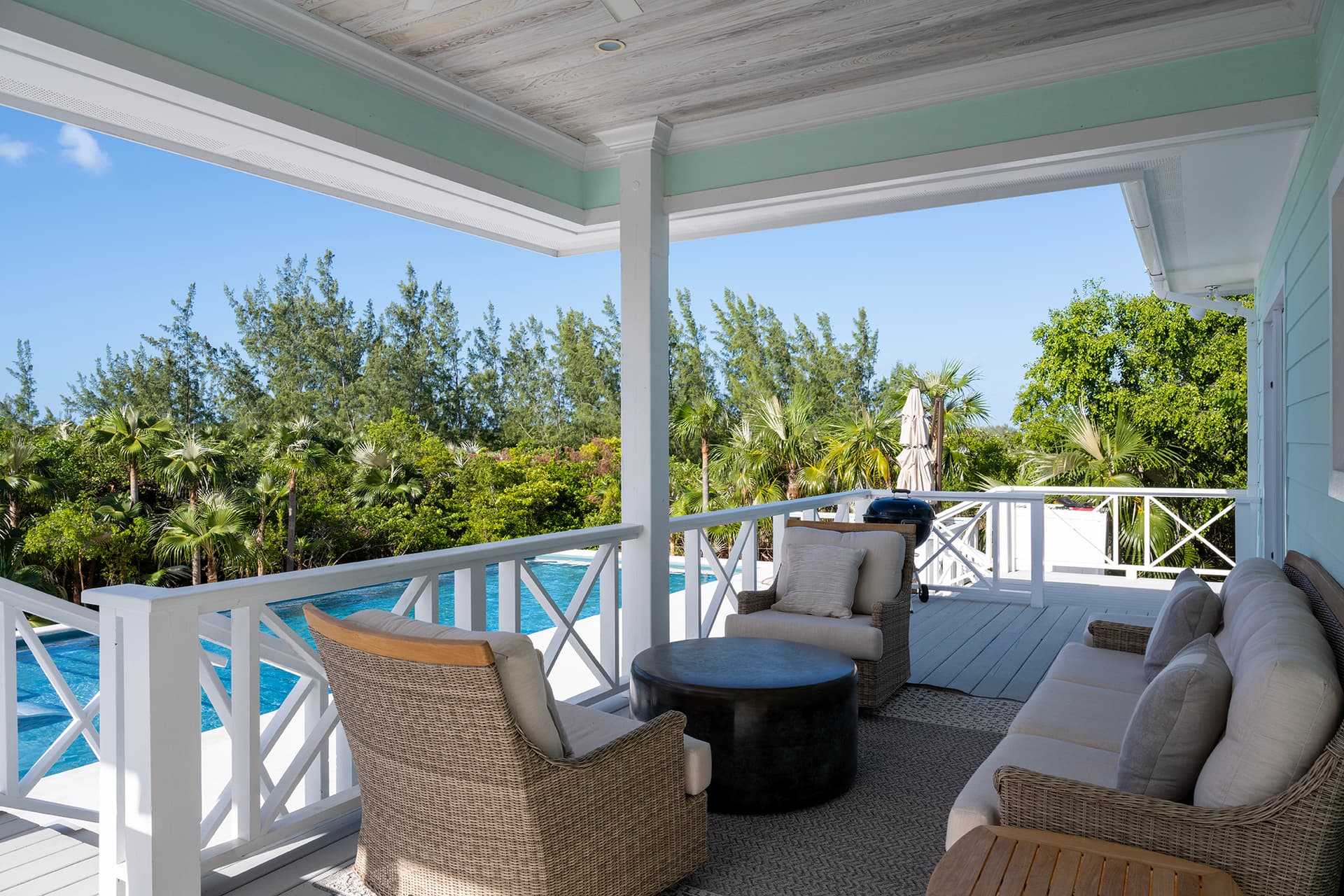 Gumbo Limbo - Image 22