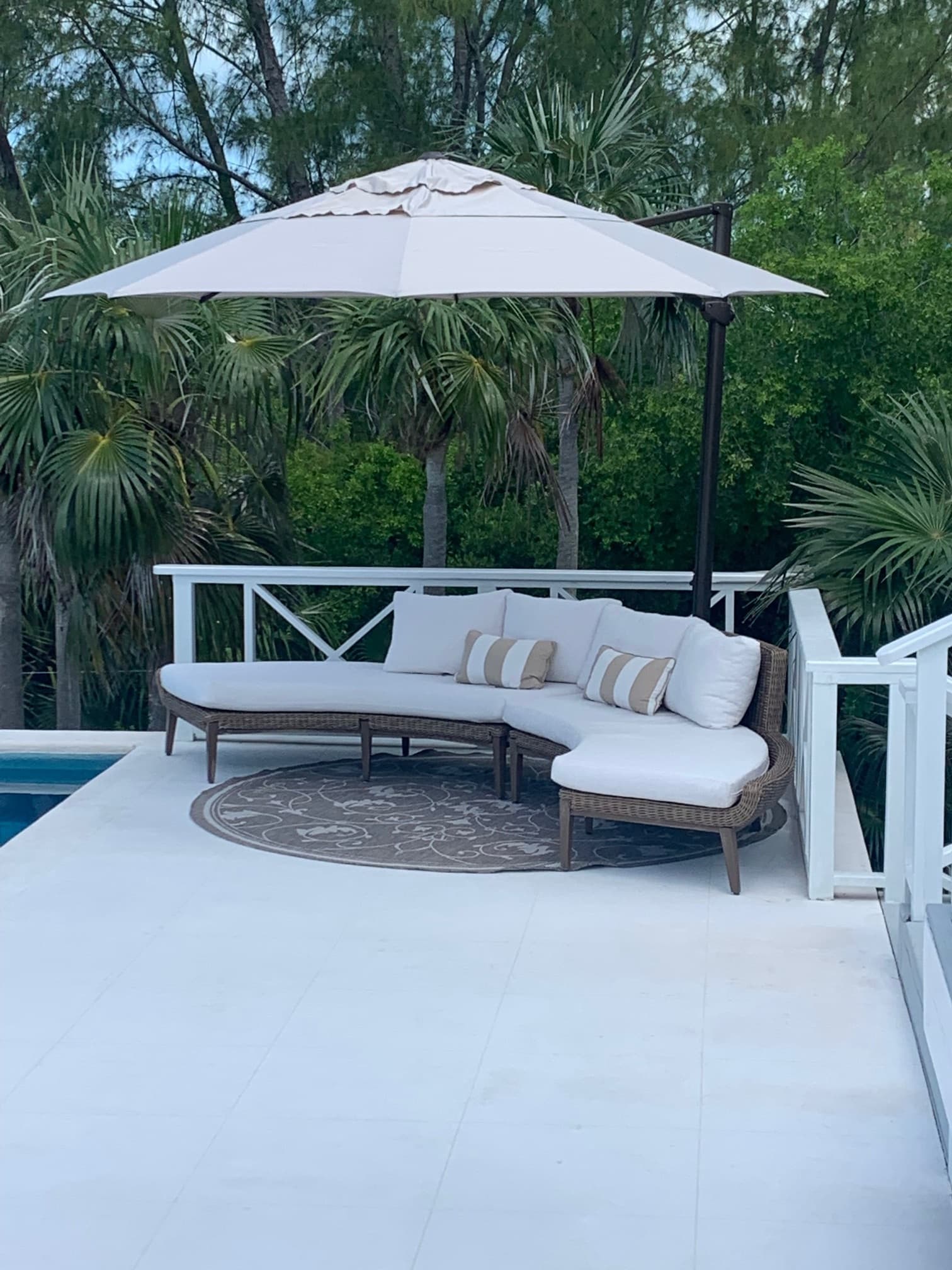 Gumbo Limbo - Image 25