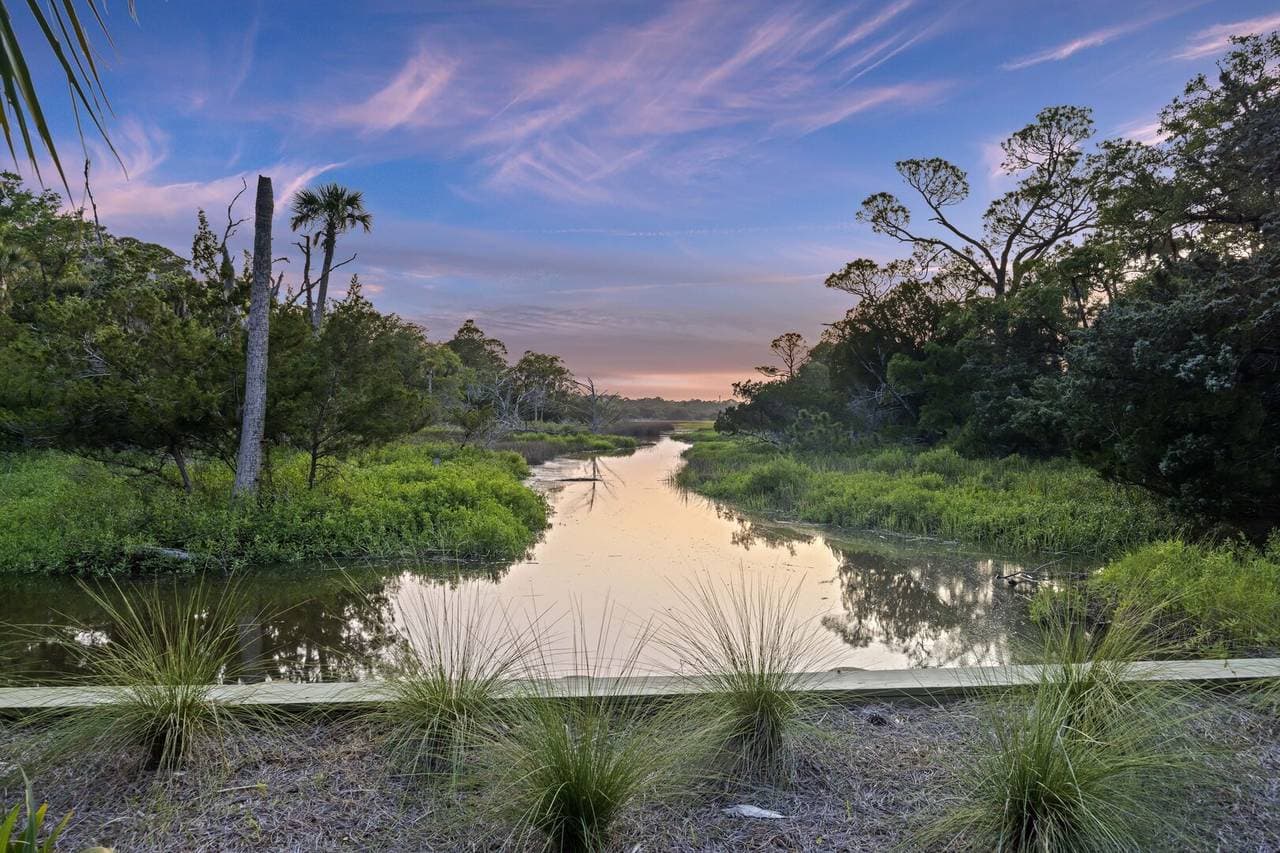 Otter Island Getaway - Image 58