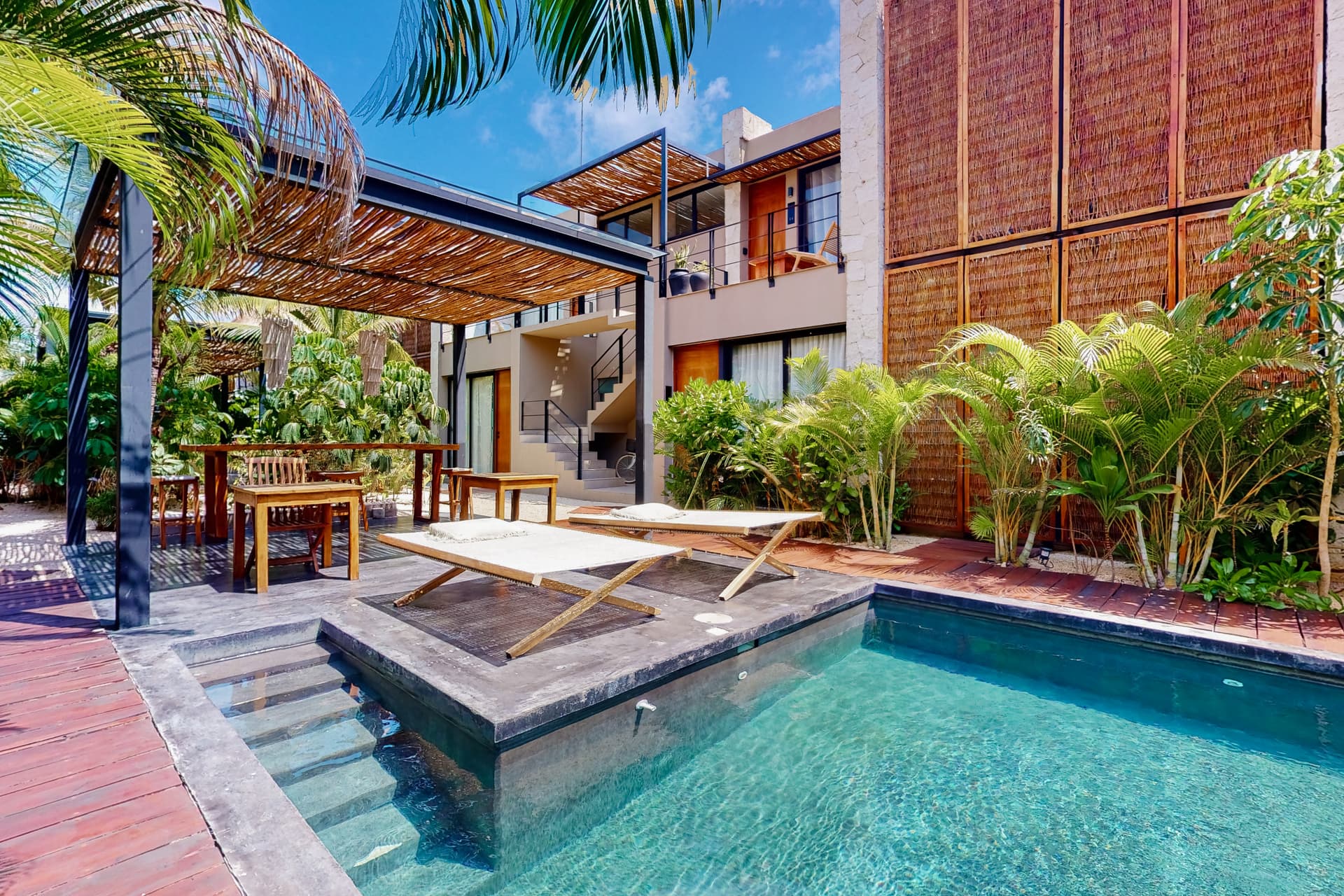 Fronds and Sun - Image 4