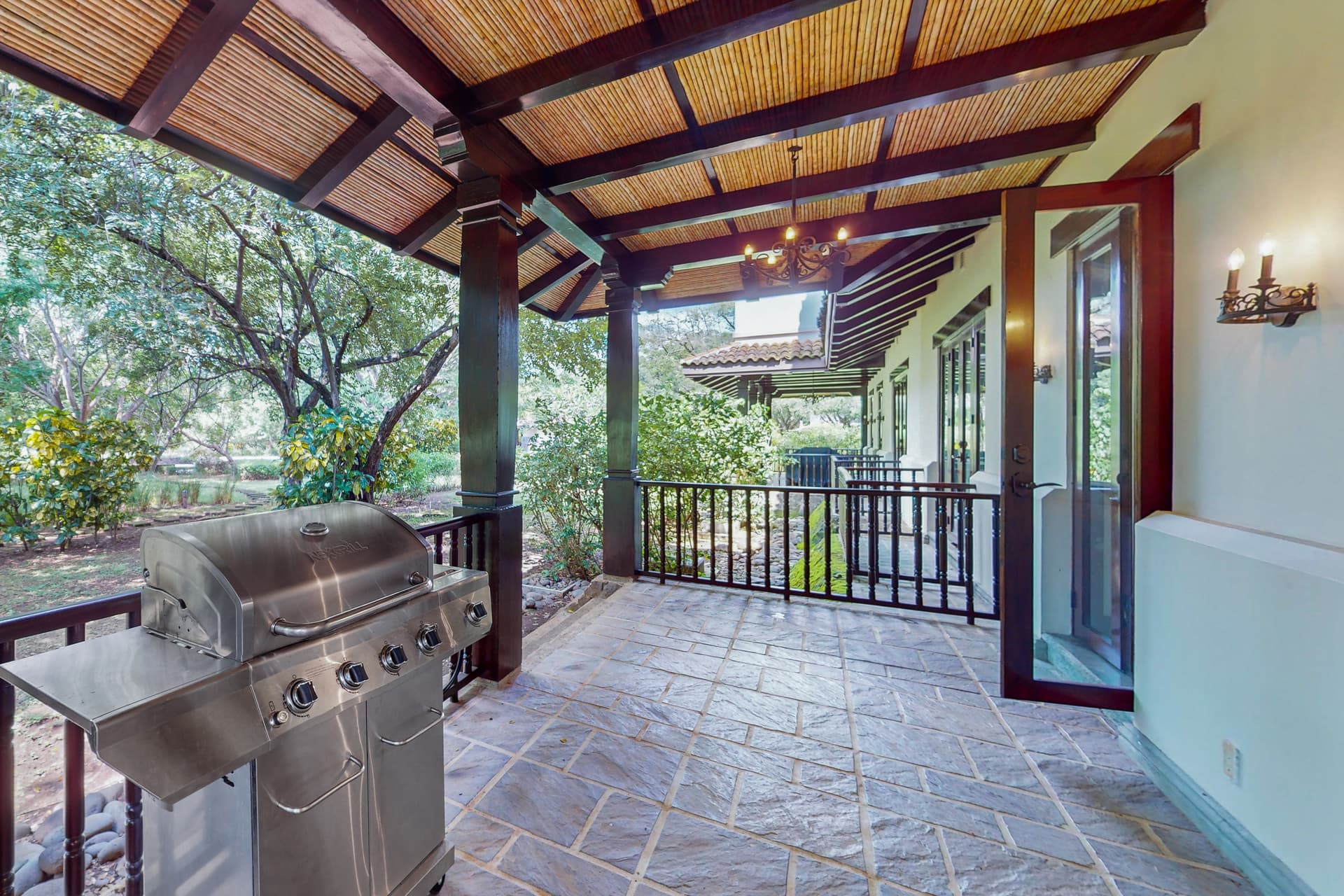 Pinilla Flor de Malinche - Image 16