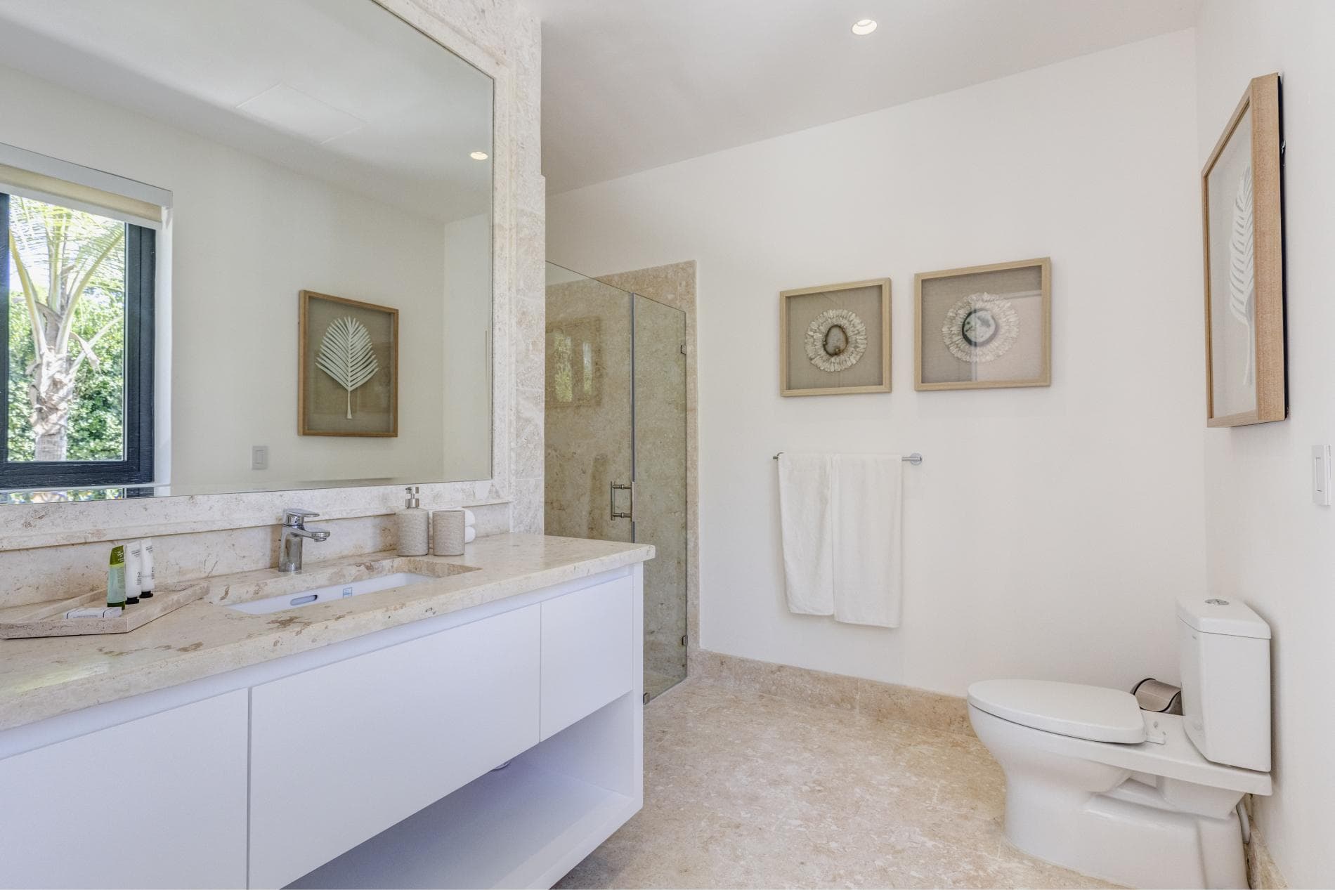 Corales #22 - Image 9